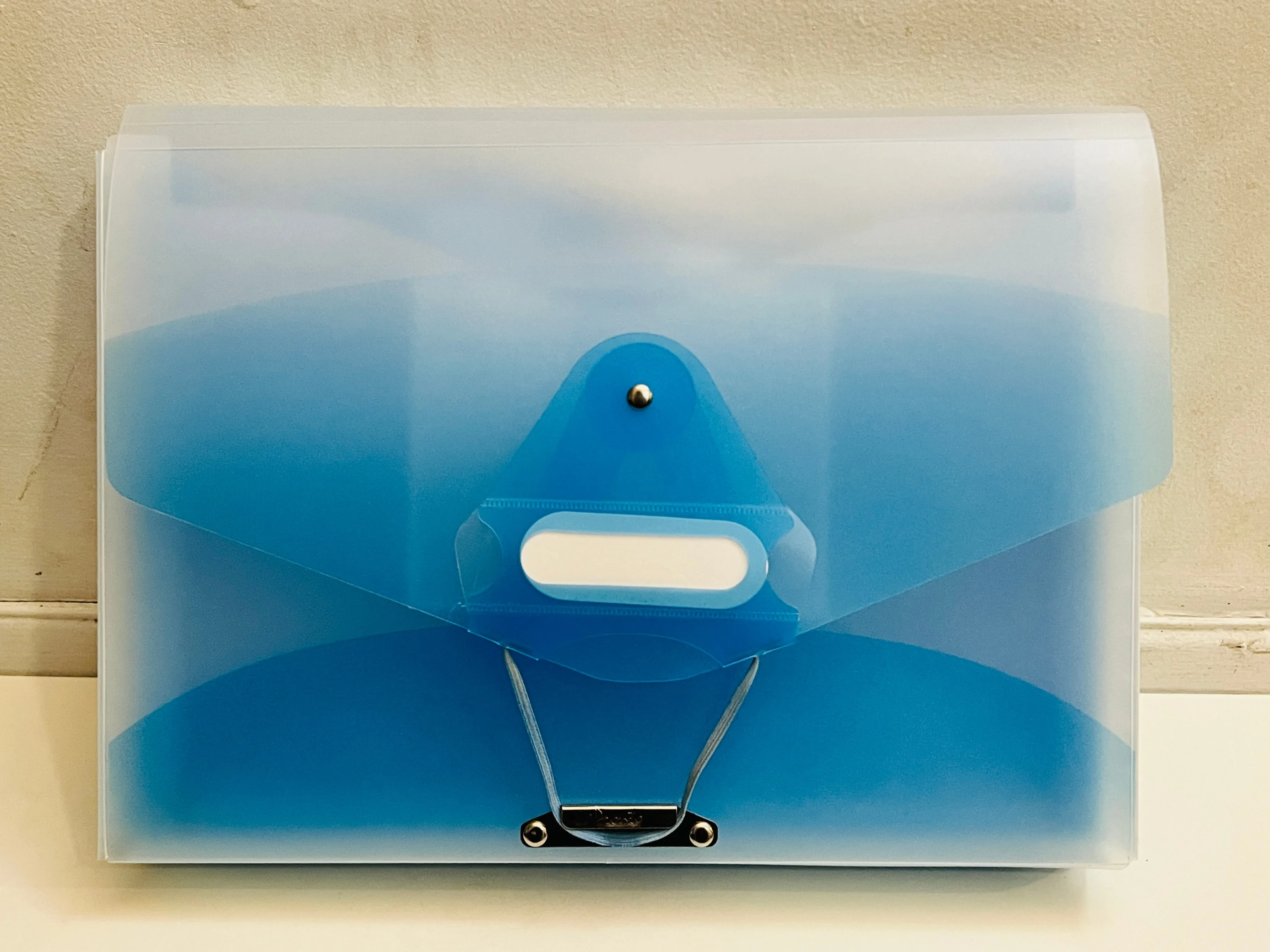 13 pocket expanding file folder & file organizer