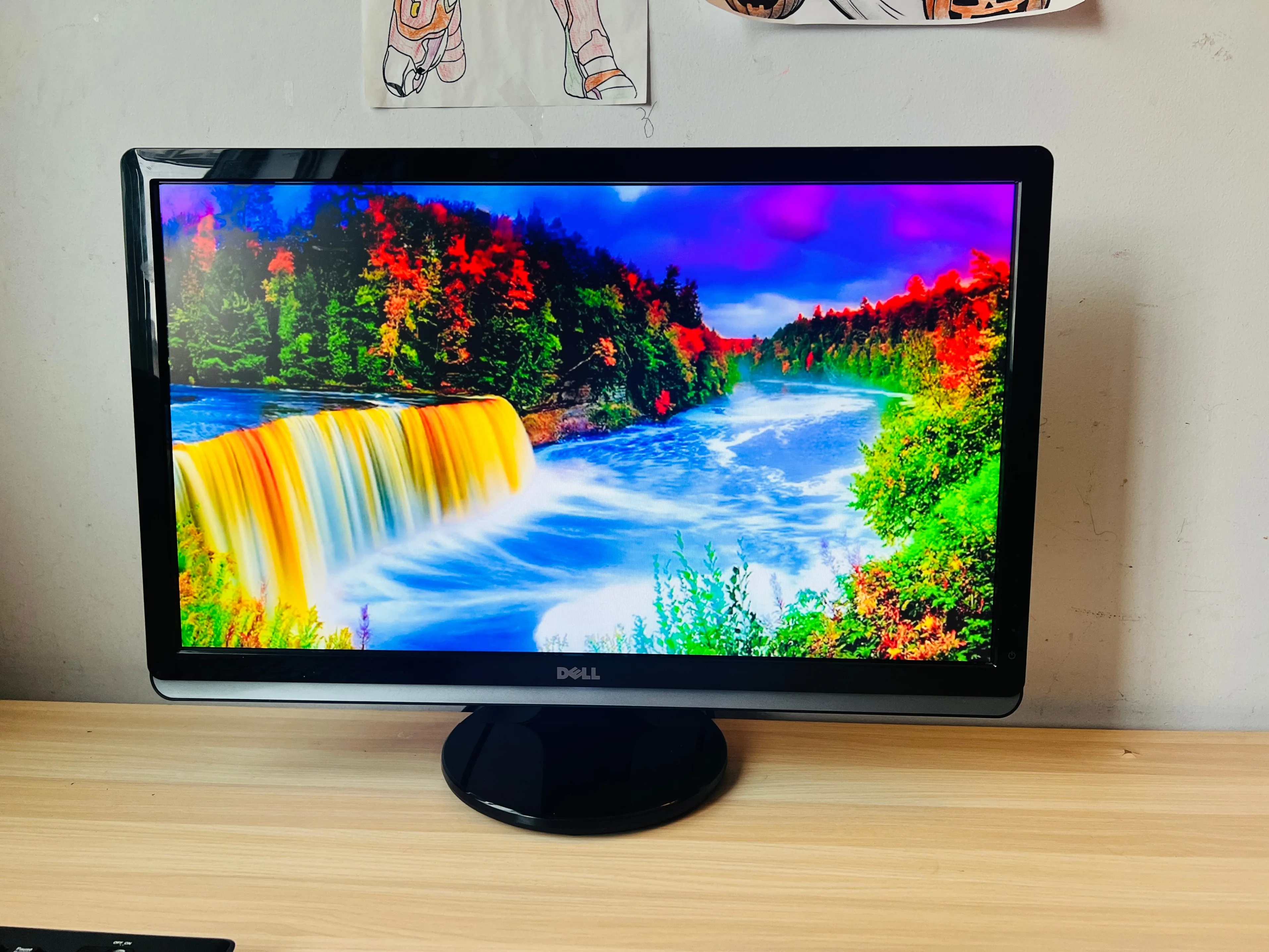 DELL 24" Monitor for official and personal use / Moniteur