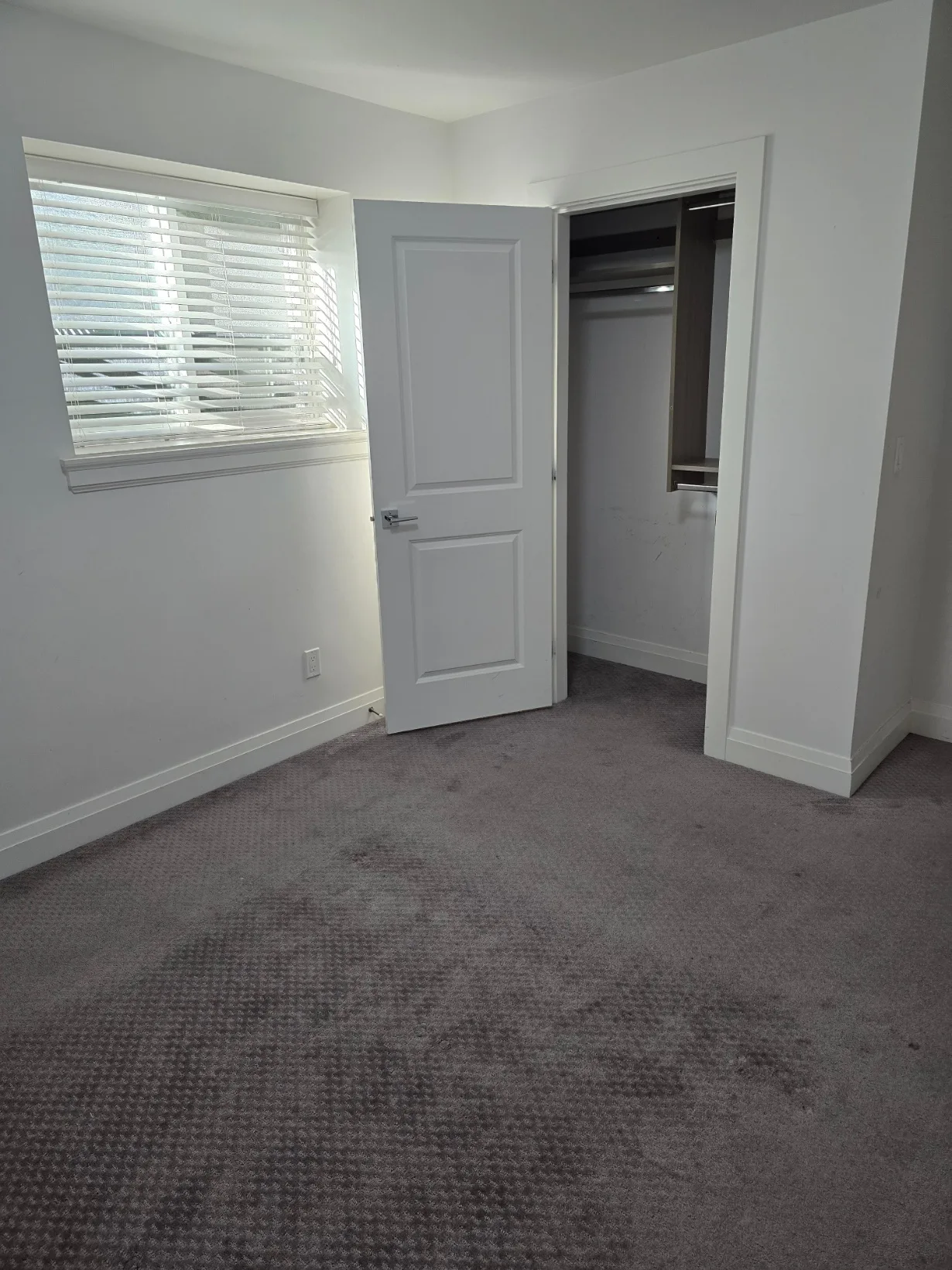 2 BR /1 B suite in Cloverdale near 168 St / Hwy 10 image indicator(7)