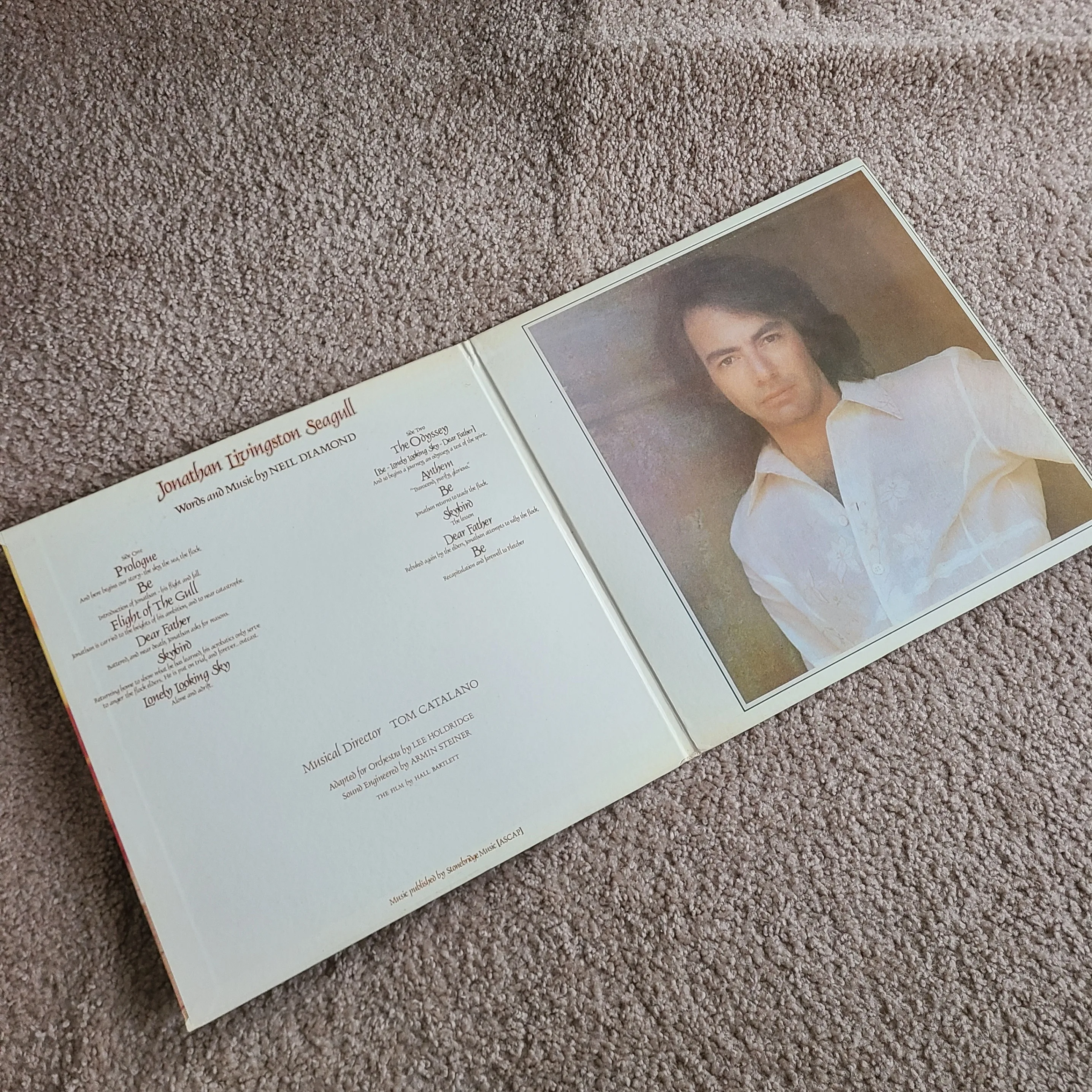 OST - Jonathan Livingston Seagull (Vinyl LP record) image indicator(3)