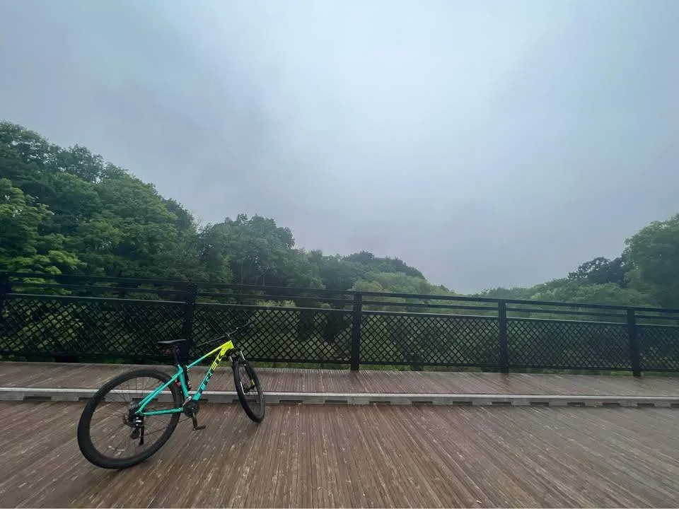 Trek Marlin 5 Gen 2 M/L Volt to Miami Green Fade Mountain Bike image indicator(2)