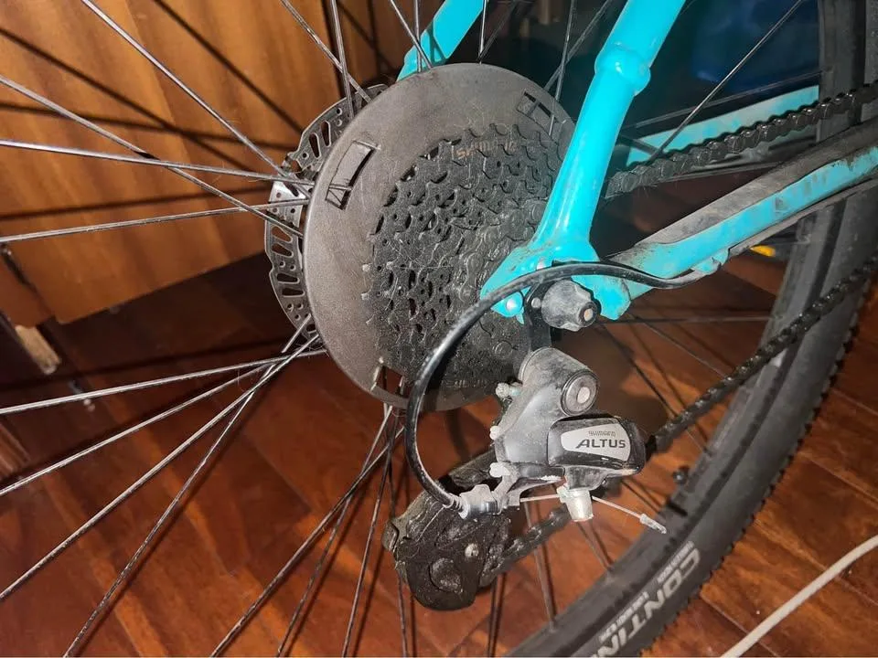 Trek Marlin 5 Gen 2 M/L Volt to Miami Green Fade Mountain Bike image indicator(3)