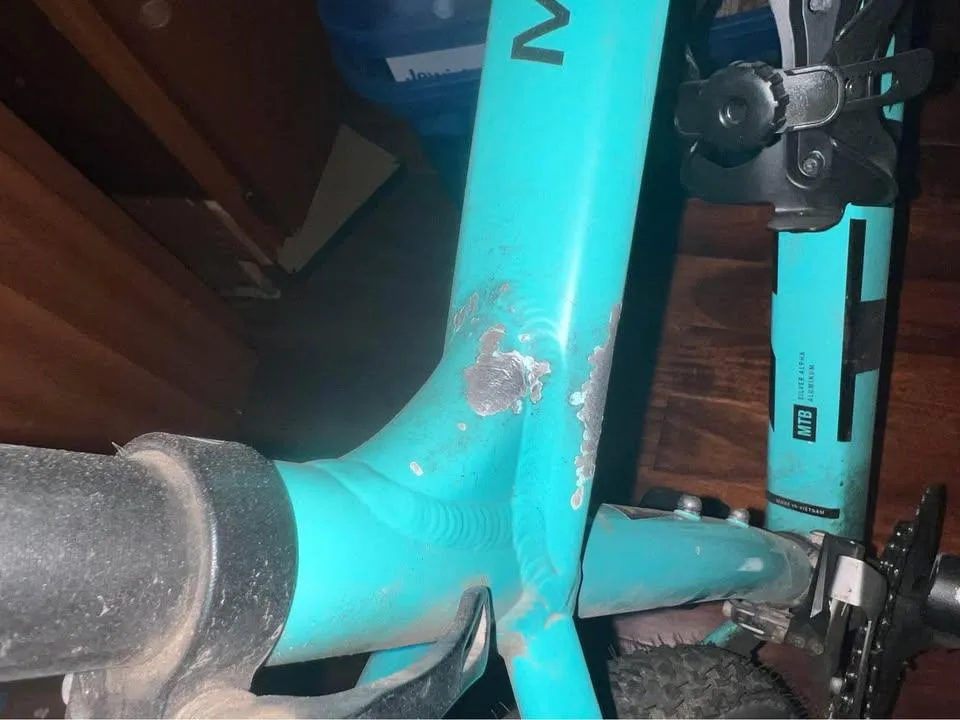 Trek Marlin 5 Gen 2 M/L Volt to Miami Green Fade Mountain Bike image indicator(5)