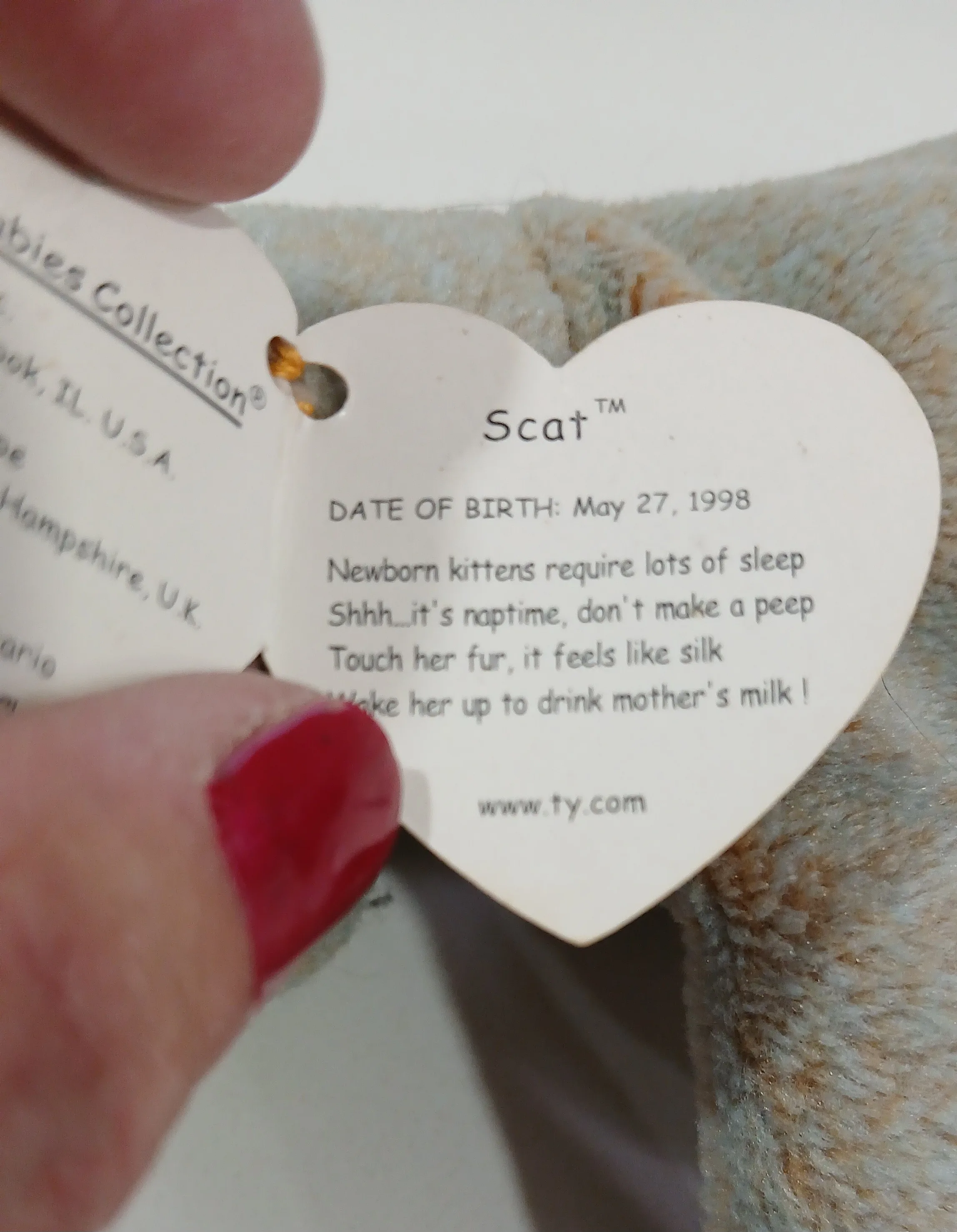 Stocking Stuffers,Ty Beany Babies w Birth Tags,Like new,$15 each image indicator(5)