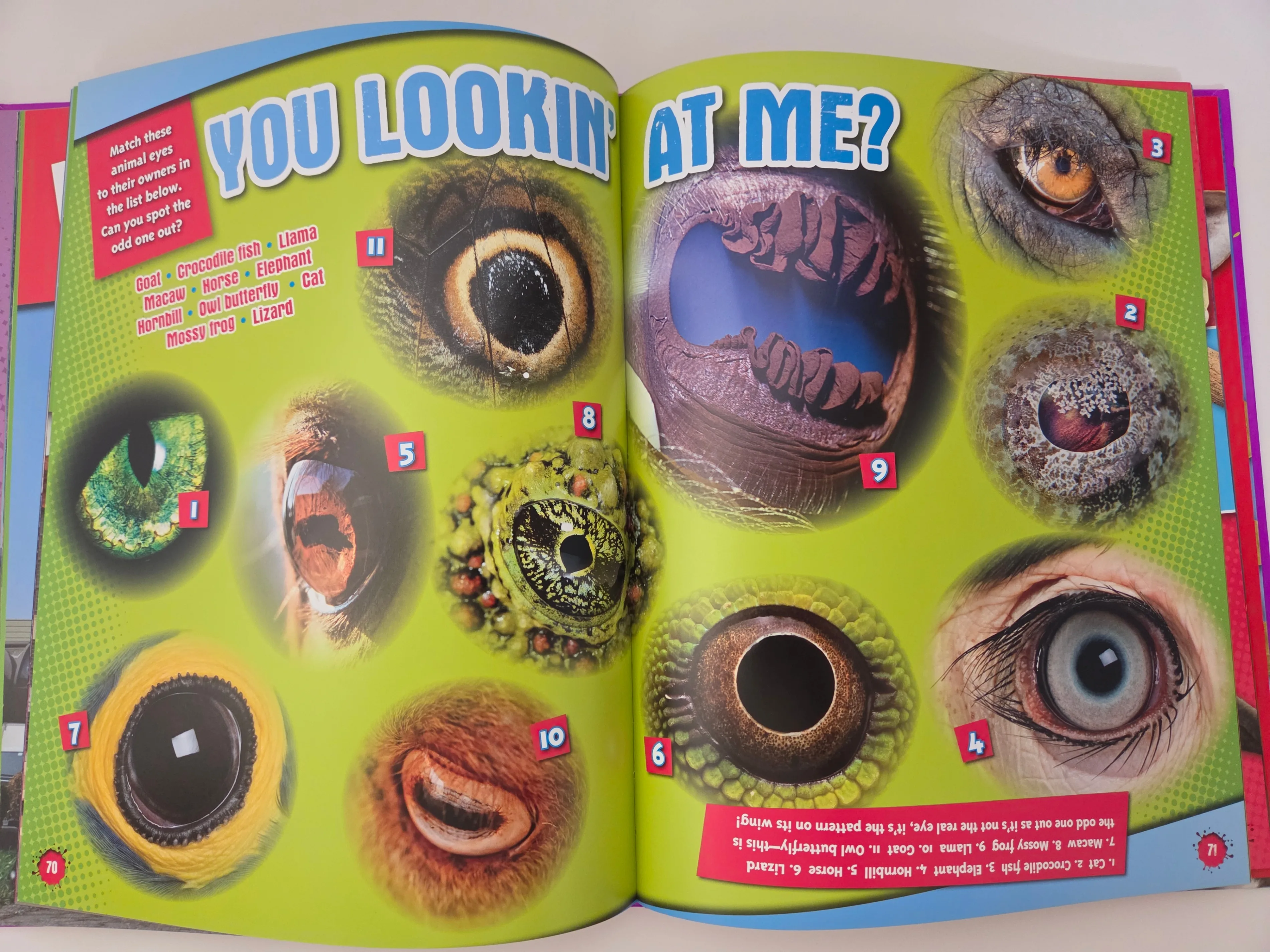 Ripley’s Kids Fun Facts The Big One, Hardcover image indicator(6)