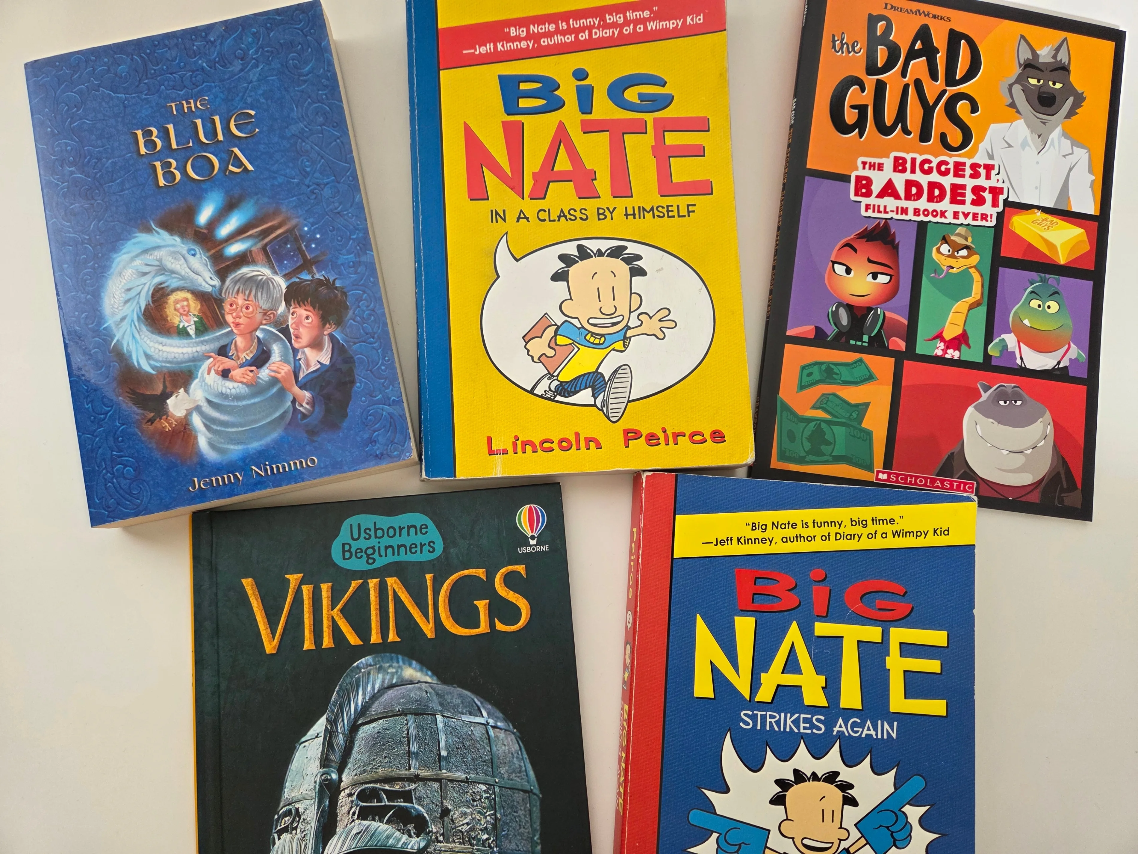 Kids Book Bundle: Big Nate, Blue Boa, Vikings (5)