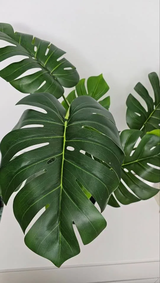 IKEA Fake Plant image indicator(3)