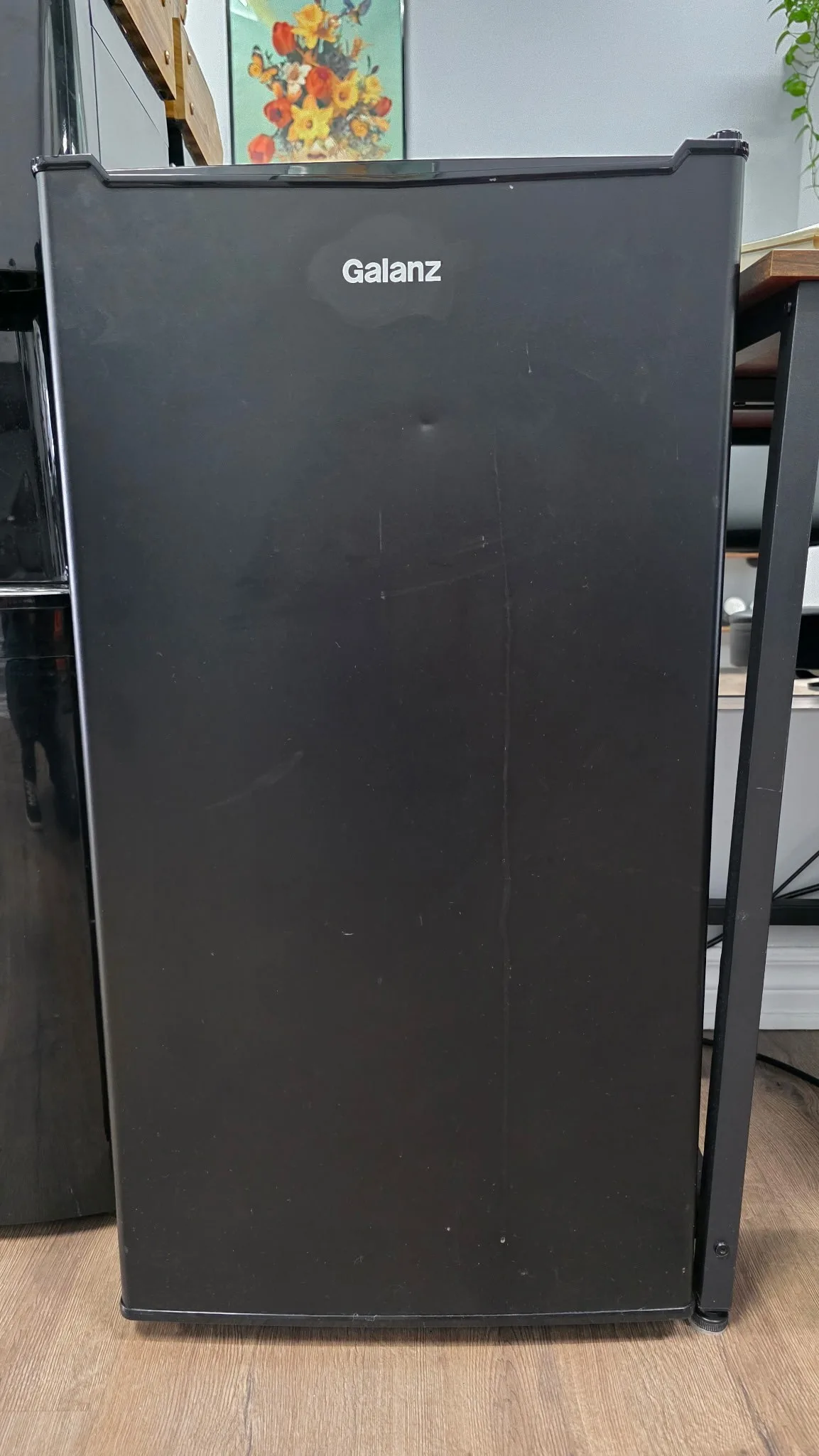 Mini Fridge – Galanz Compact Refrigerator