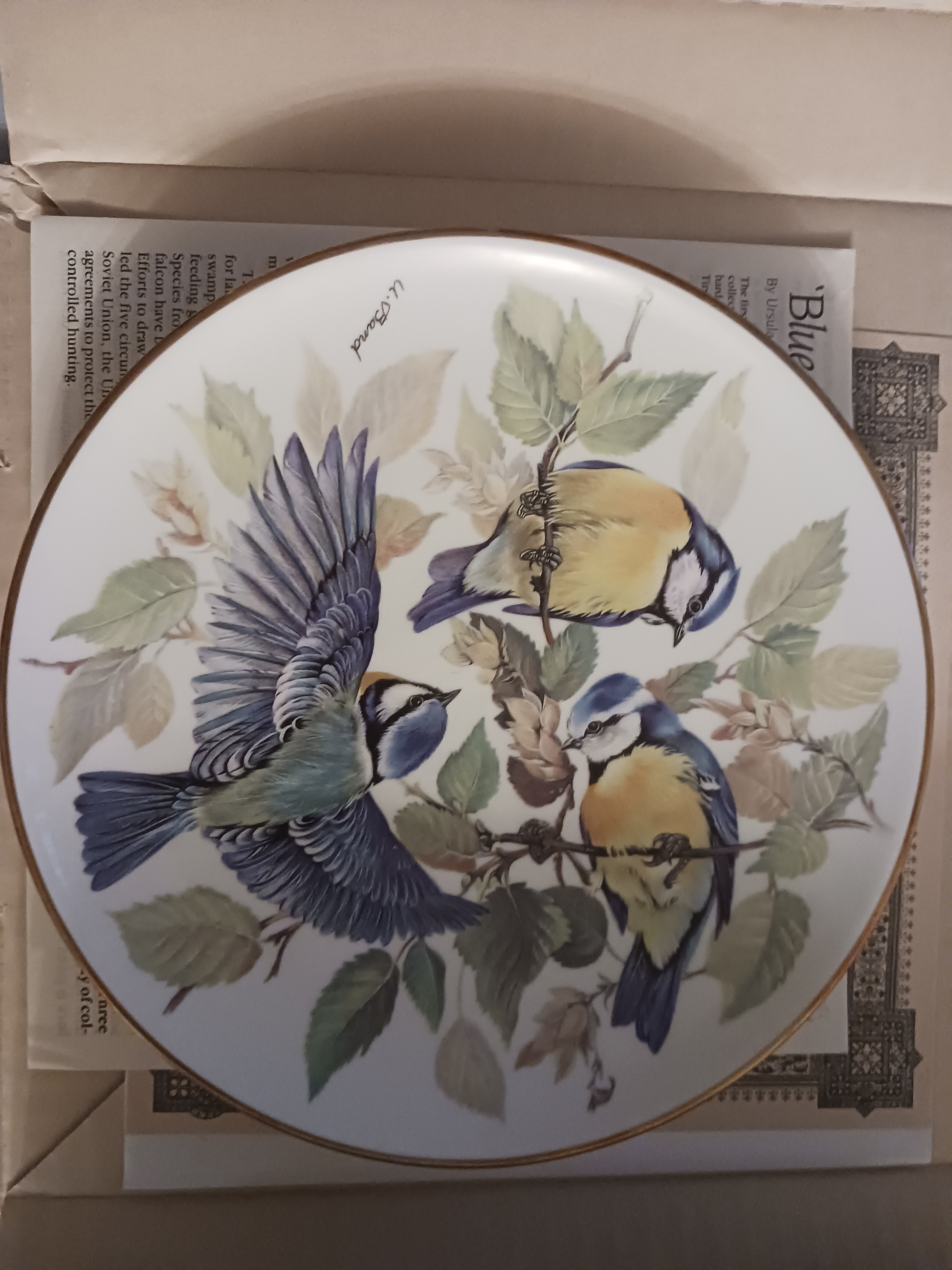 BLUE TITMOUSE Fine China Decorative Plate By Ursula Band-WWF - photo 2