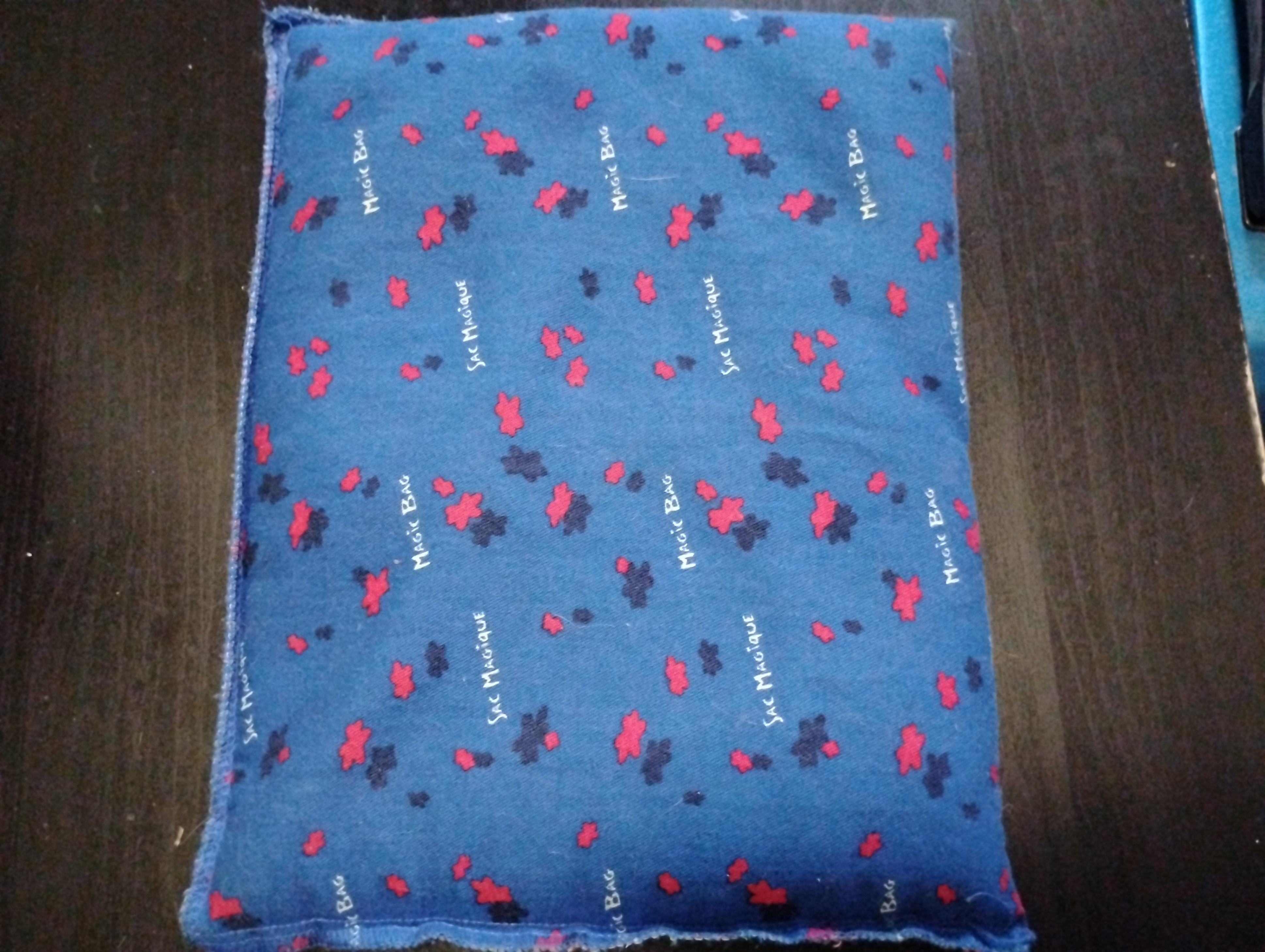 Magic Bag — 11.5 x 8.5 Inches (Good Condition)