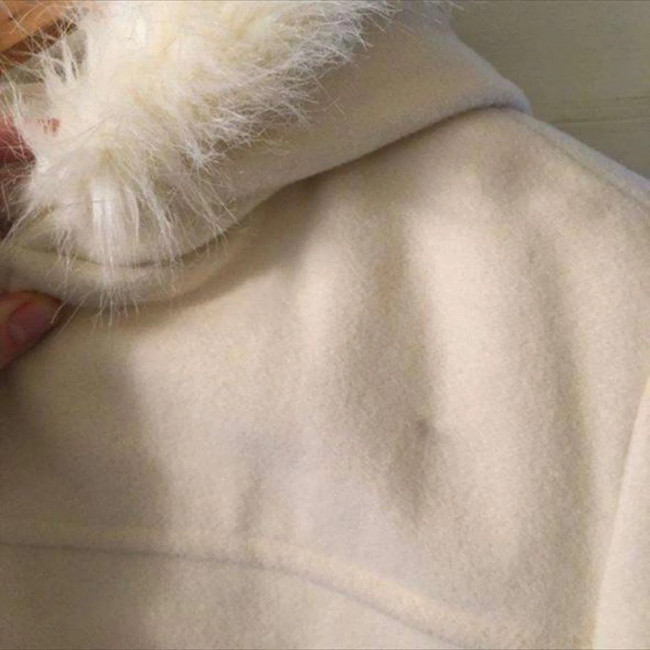 Vintage Fur Trimmed Wool Hooded Jacket image indicator(5)