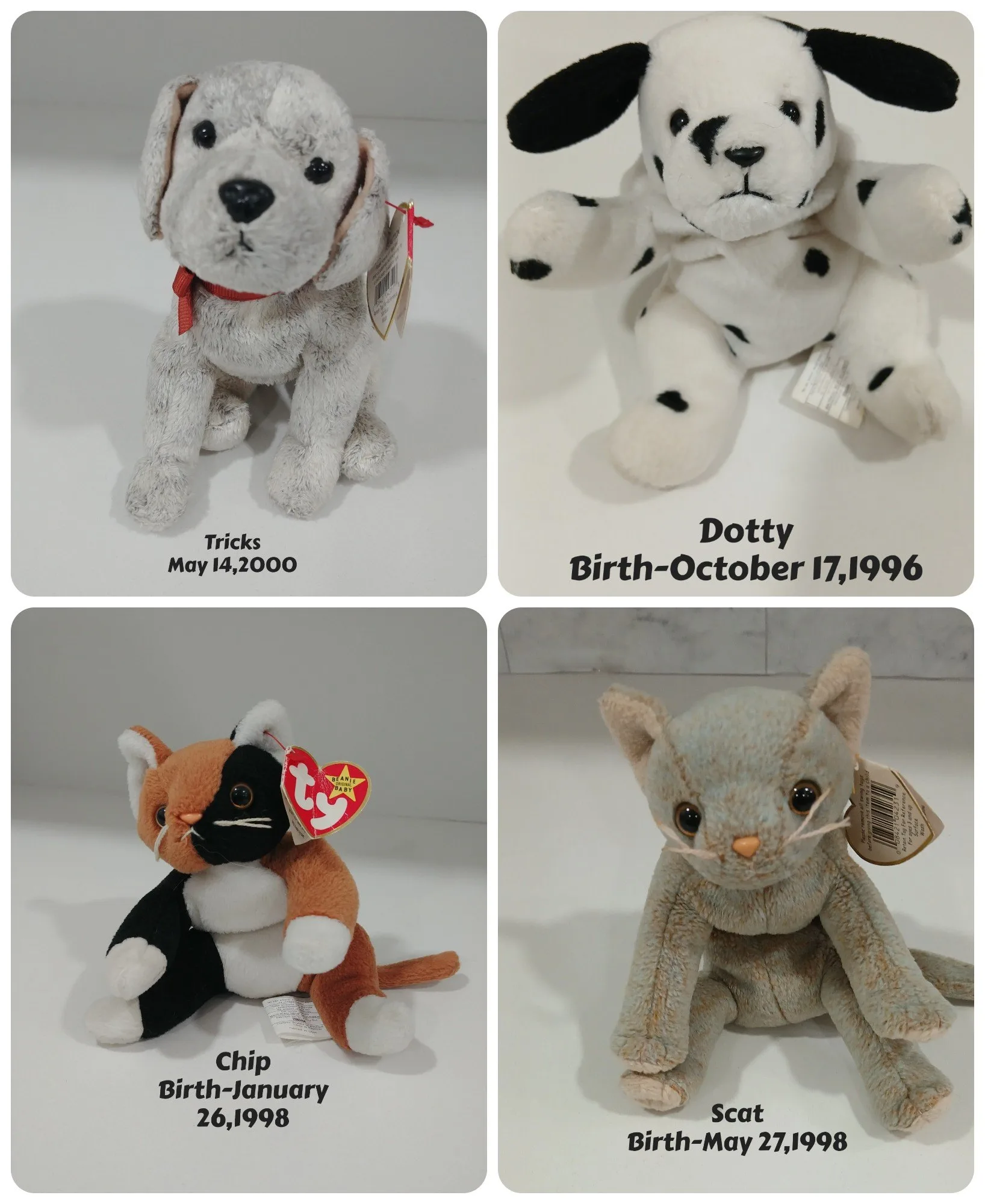 Stocking Stuffers,Ty Beany Babies w Birth Tags,Like new,$15 each image indicator(2)