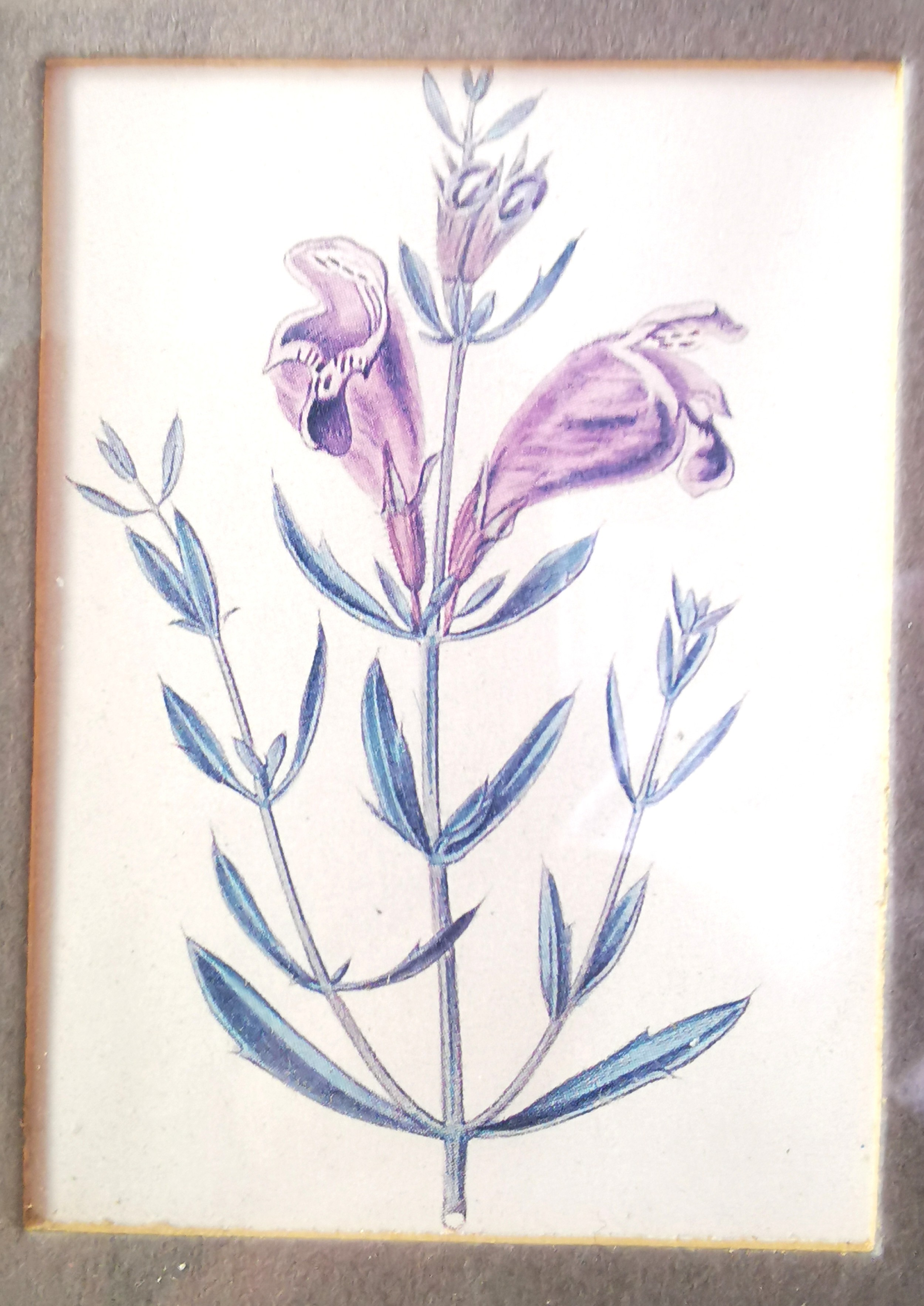 Columbia Frame with Handcrafted Glass and Lithograph Elegant - photo 2