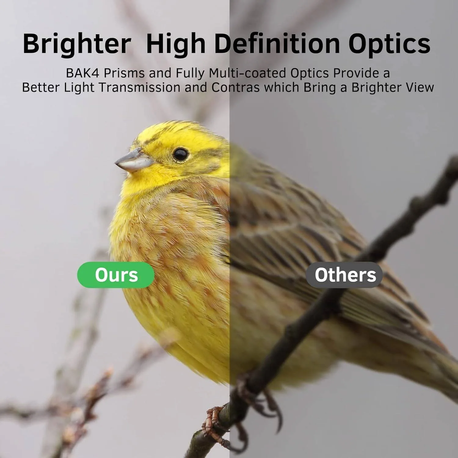 USCAMEL 20x50 Binoculars – BAK4, FMC, Waterproof image indicator(7)