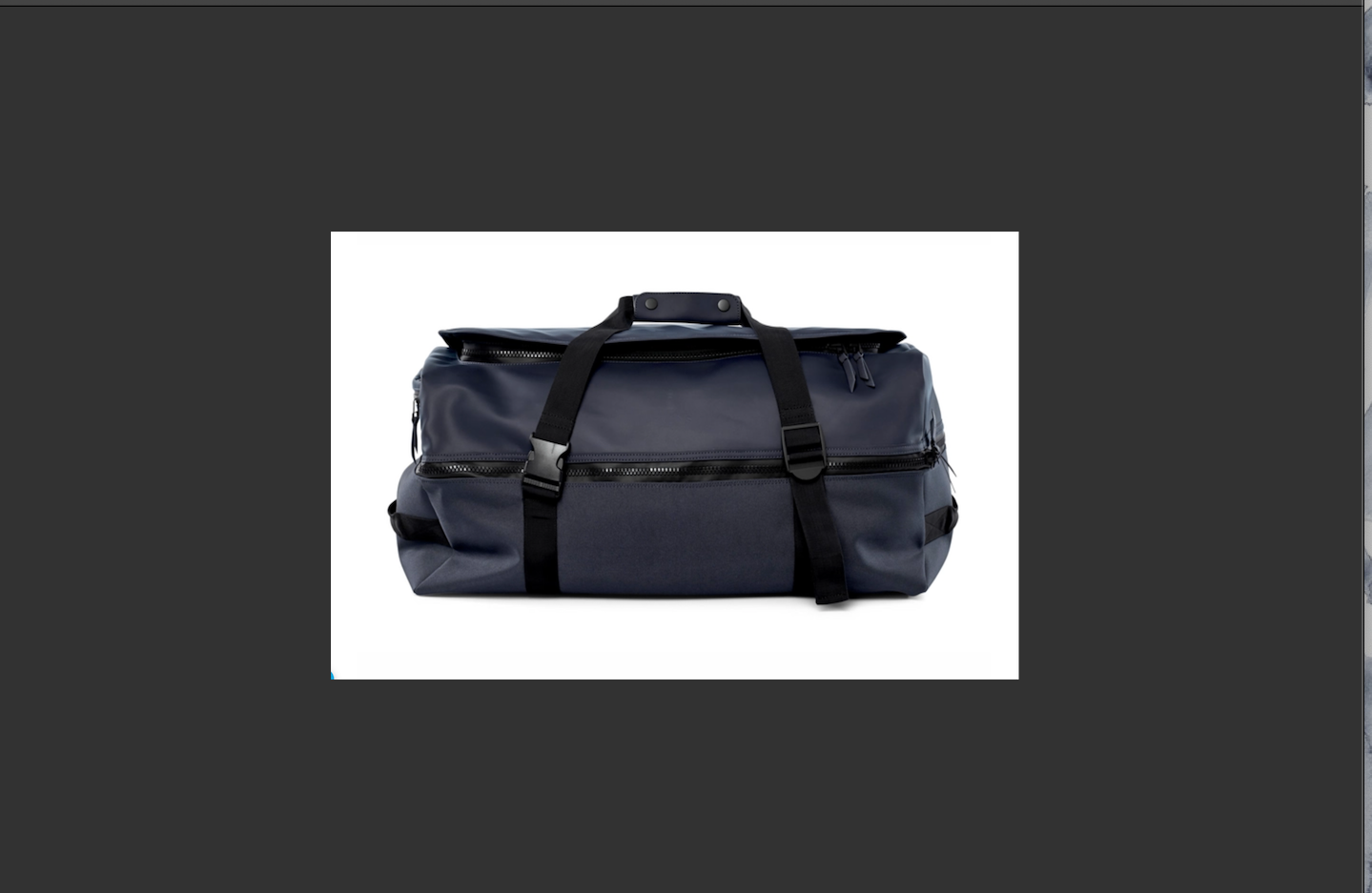 RAINS Travel Duffle Backpack - Large