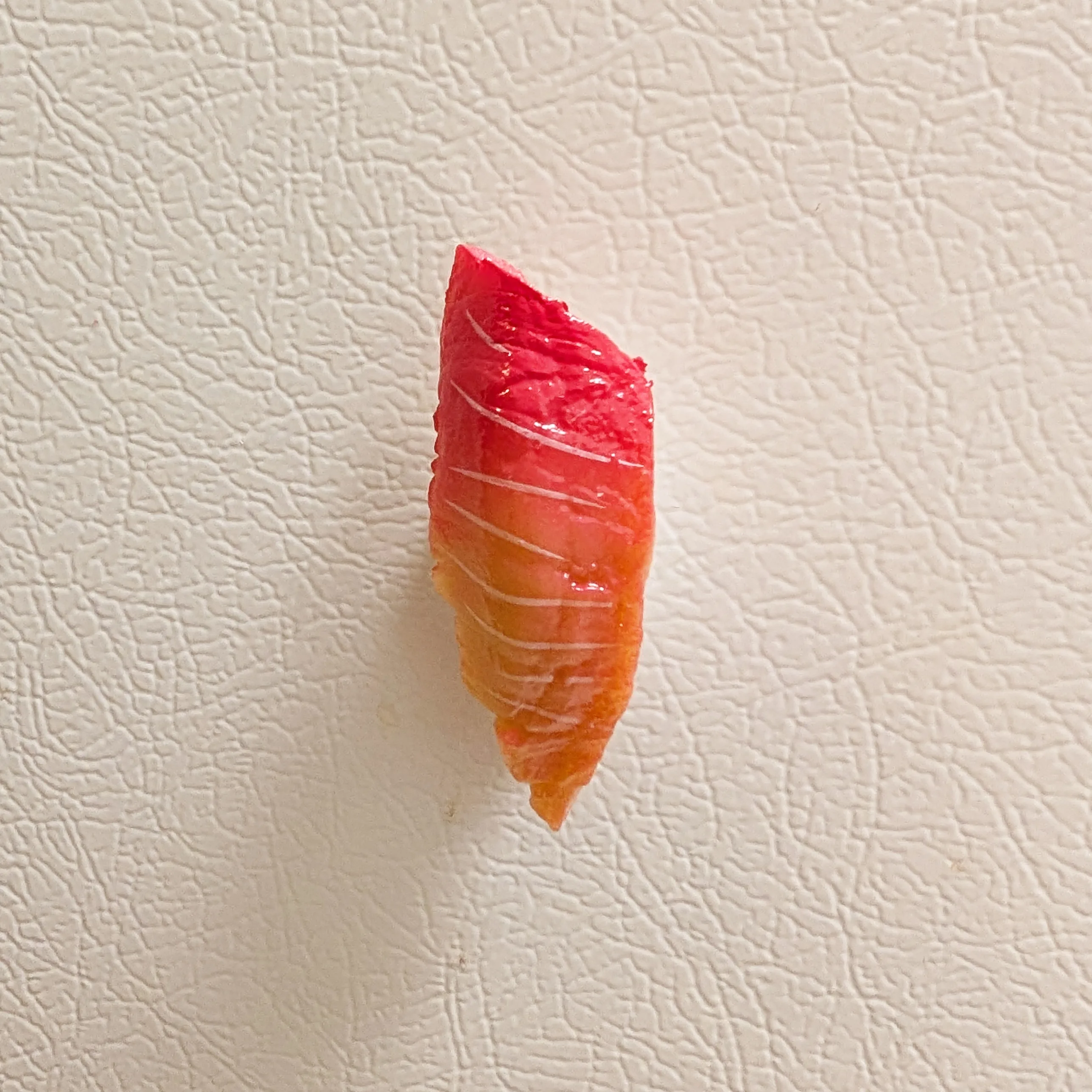 Sushi Magnet