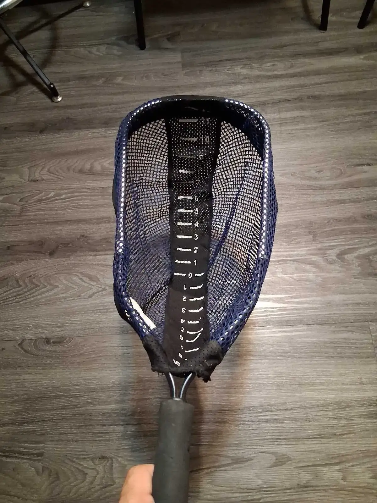 The Measure Net