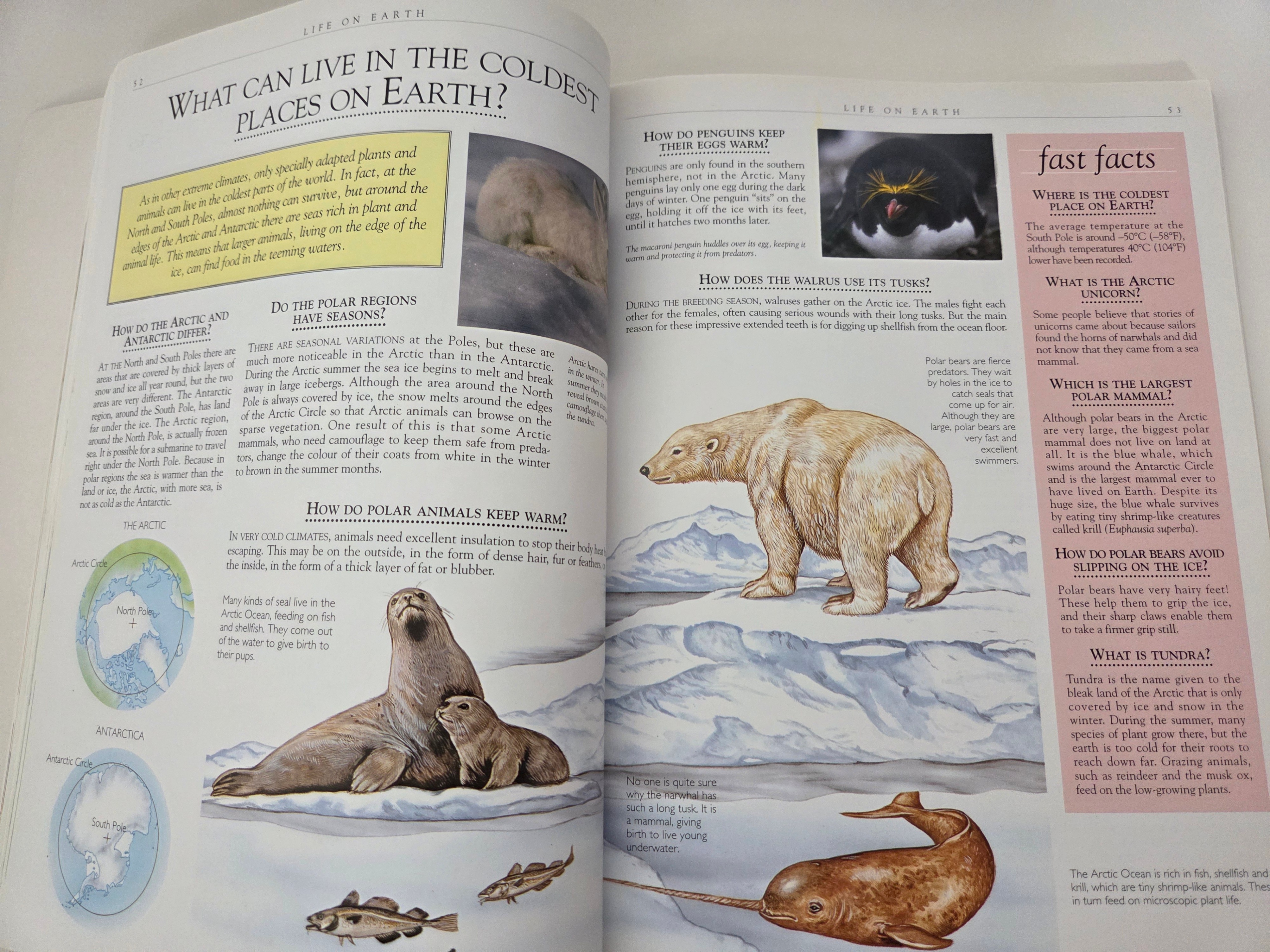 1000 Questions and Answers – Illustrated Science Book - photo 3