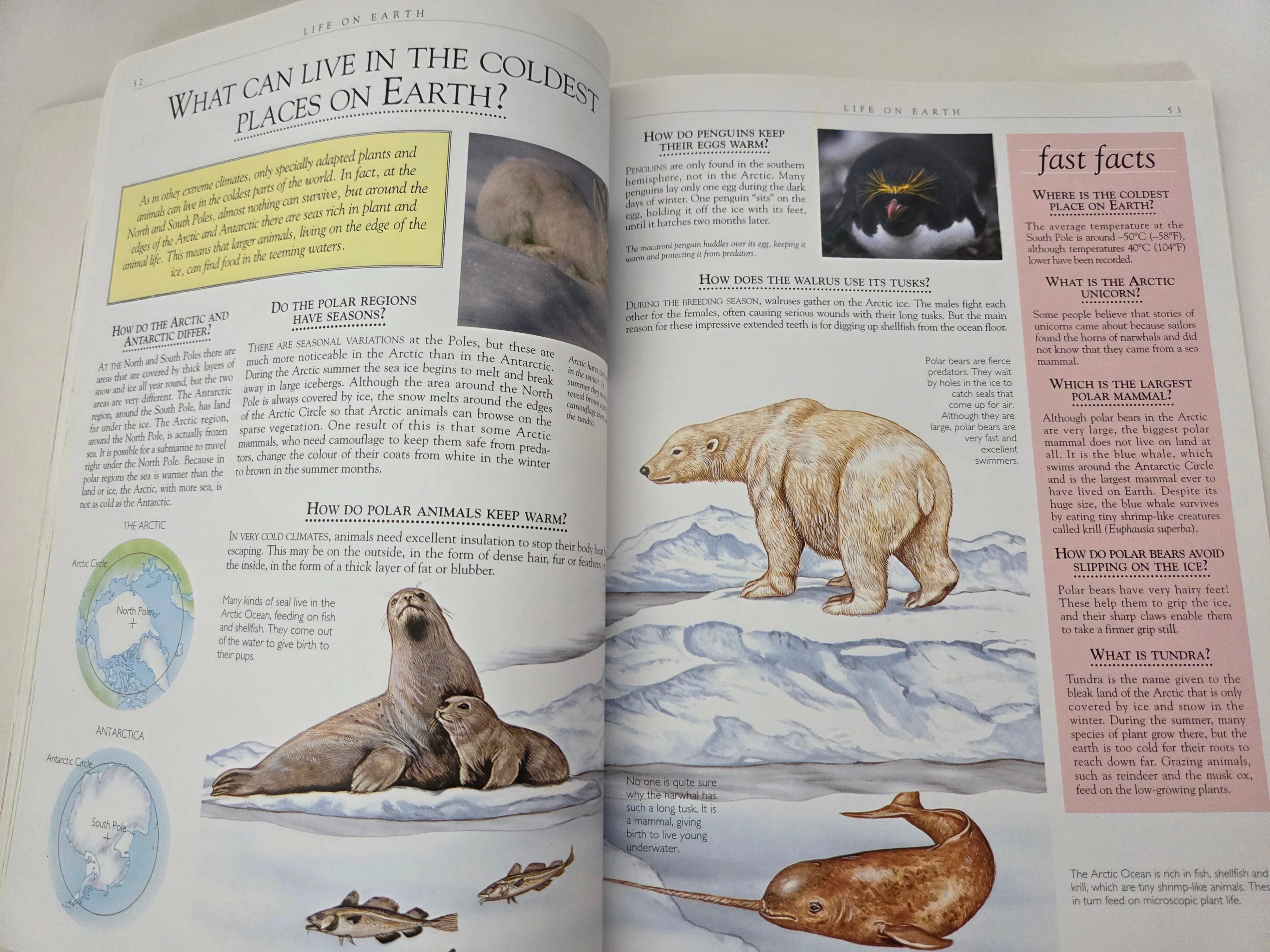 1000 Questions and Answers – Illustrated Science Book image indicator(3)