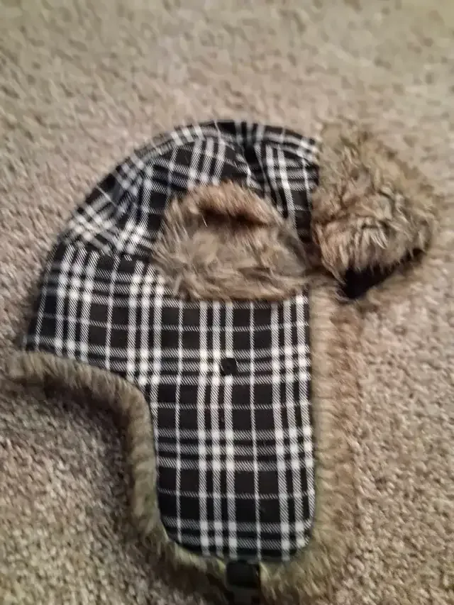 Snow Hat with ears cover thumbnail