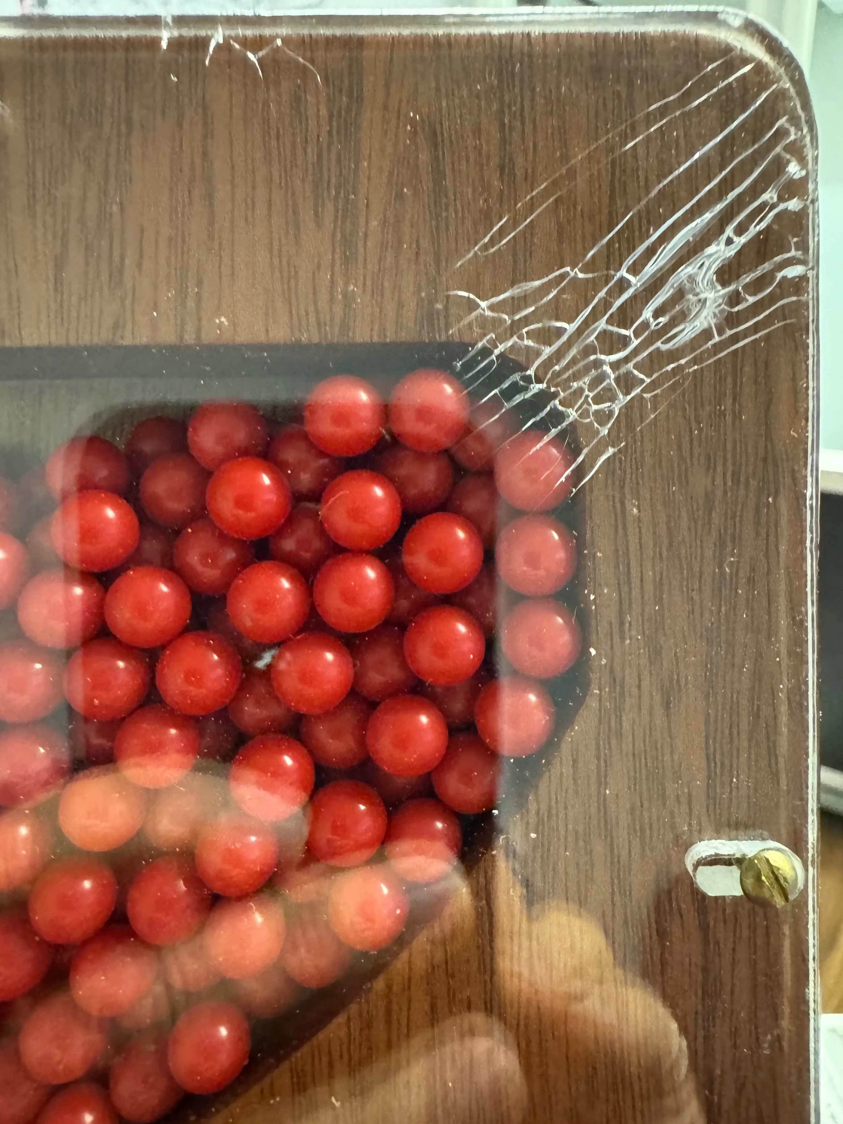 Quincunx / Galton Board with Hard and soft Carrying Cases image indicator(8)