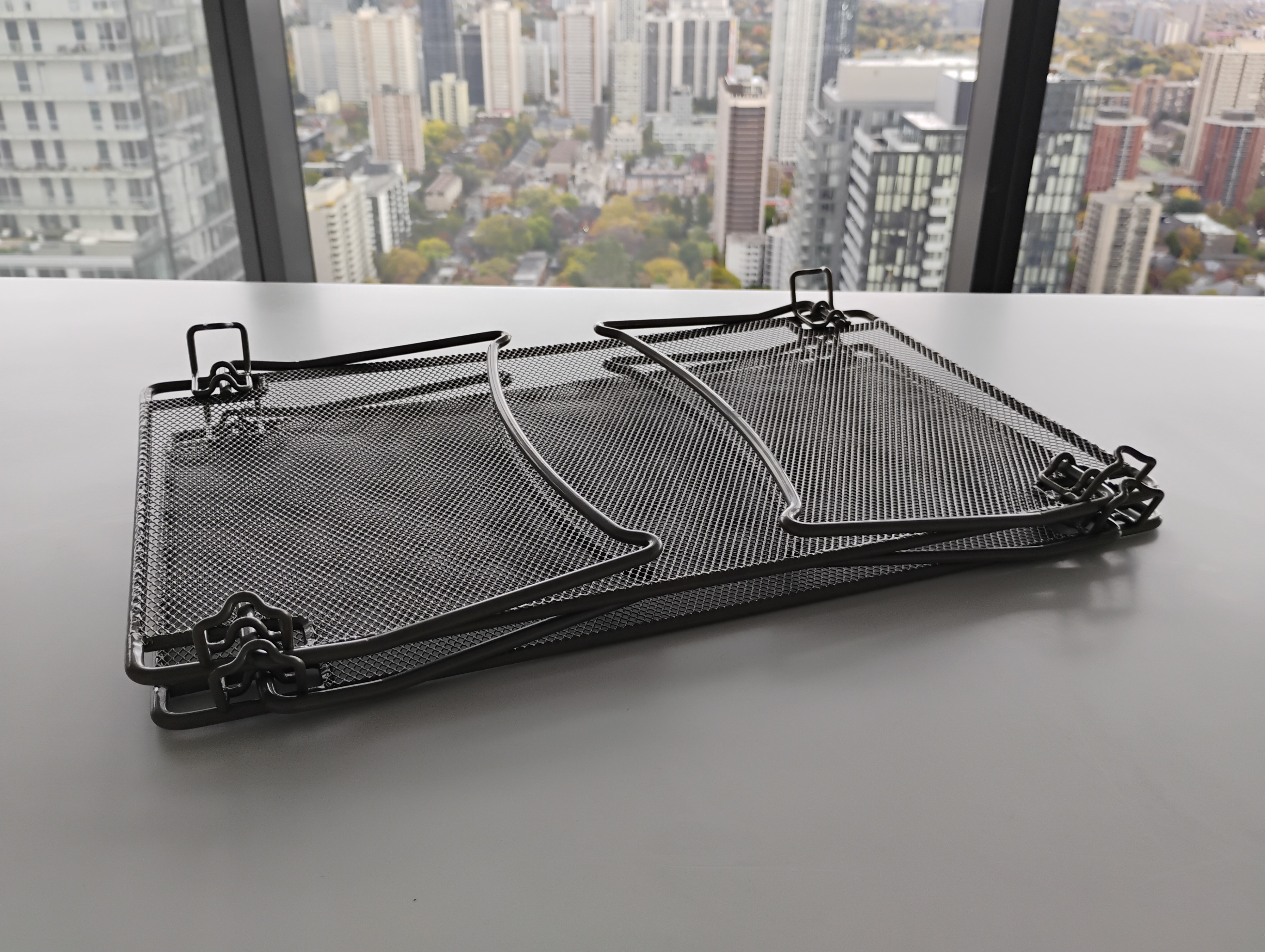Cabinet Organizer (set of 2 inserts) - photo 3
