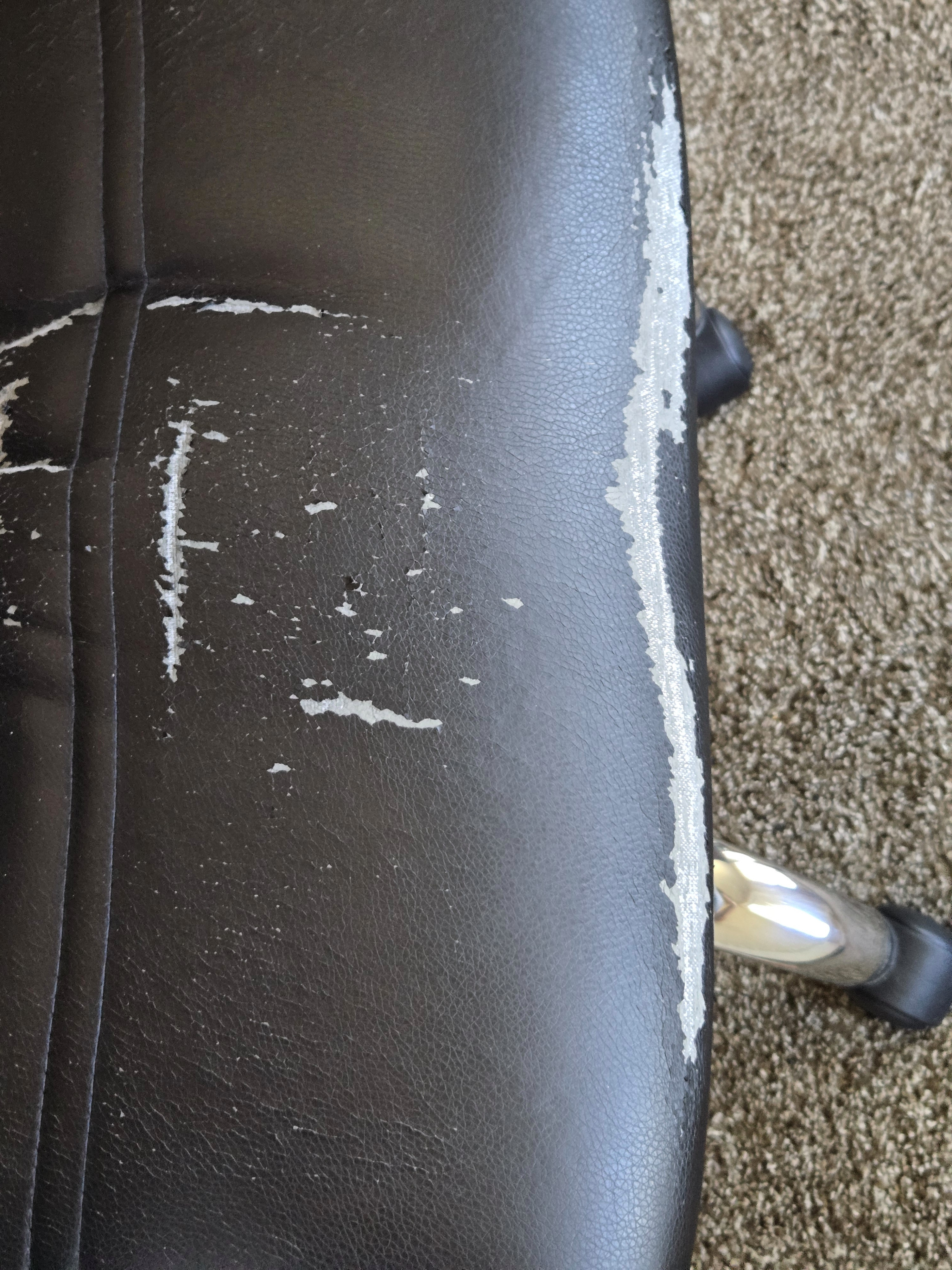Swivel Office Chair - FREE (Adjustable) - photo 5