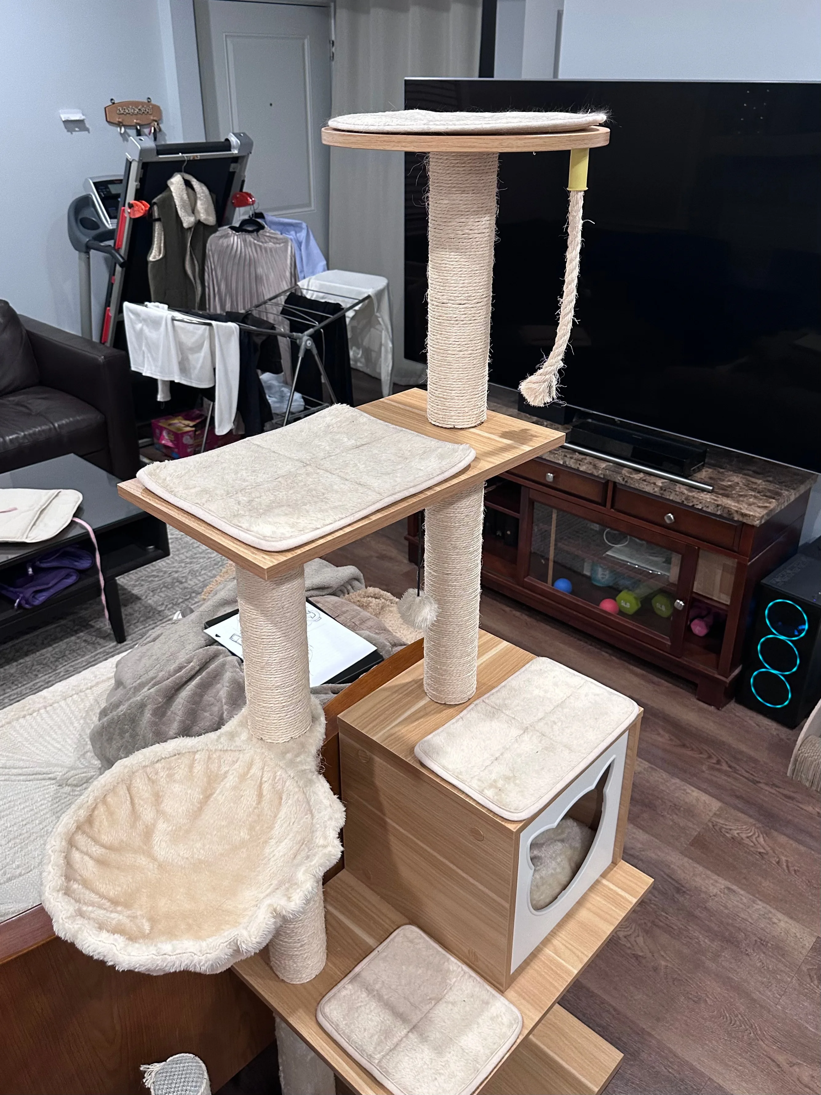 Cat Tower image indicator(4)