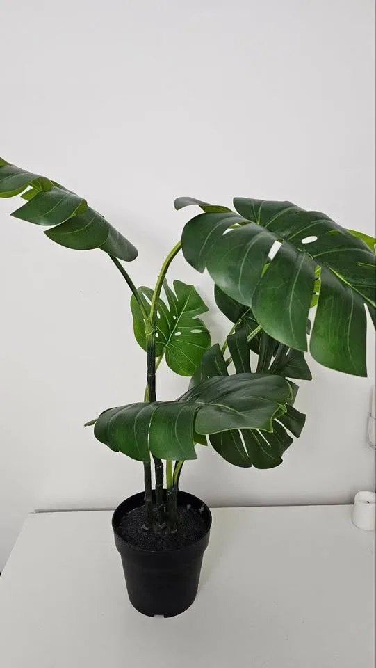 IKEA Fake Plant image indicator(4)