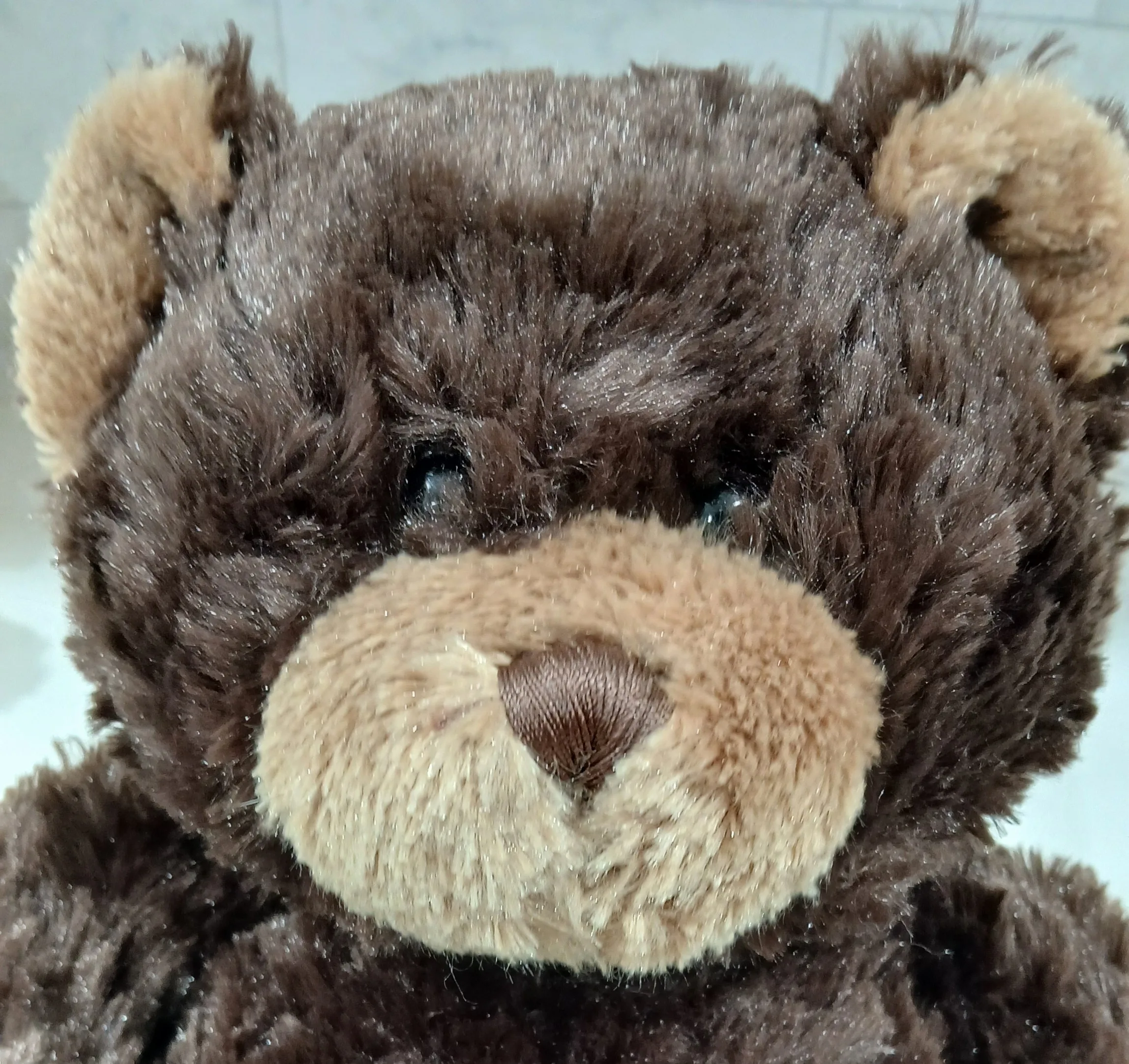 Ganz Teddy Bear,12 in. Soft & Clean, Like new thumbnail