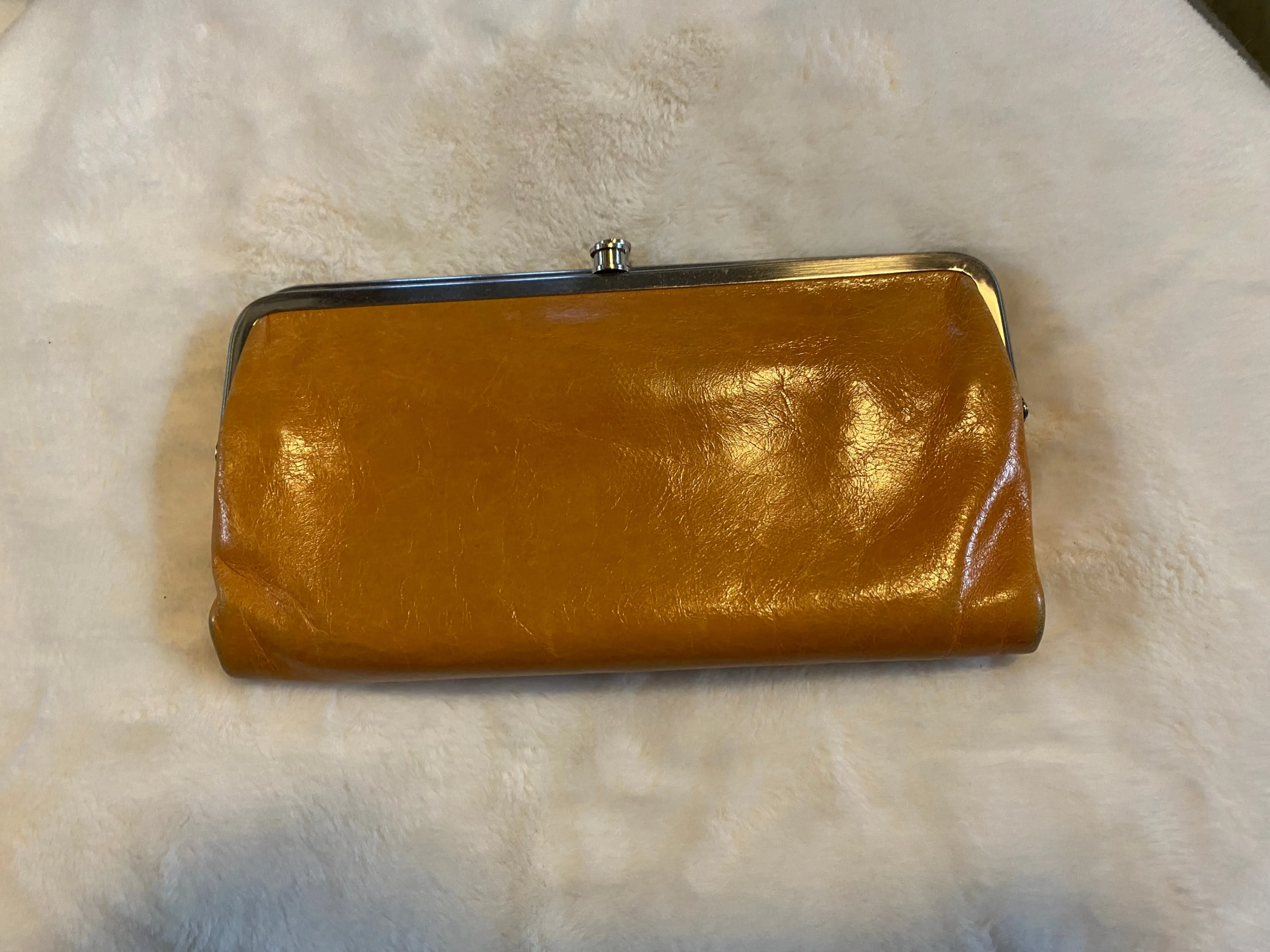 Beautiful Wallet/Clutch