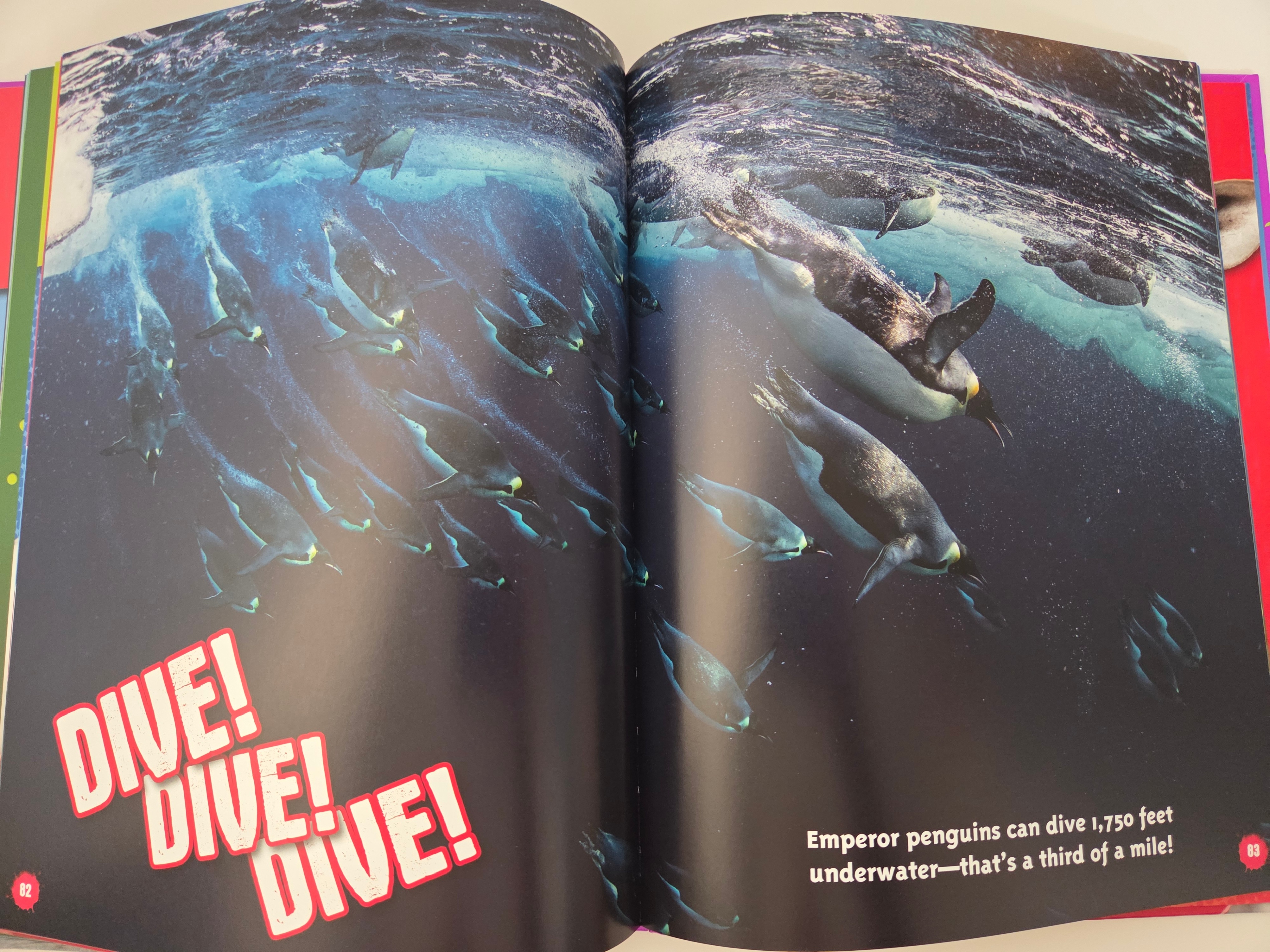 Ripley’s Kids Fun Facts The Big One, Hardcover - photo 4