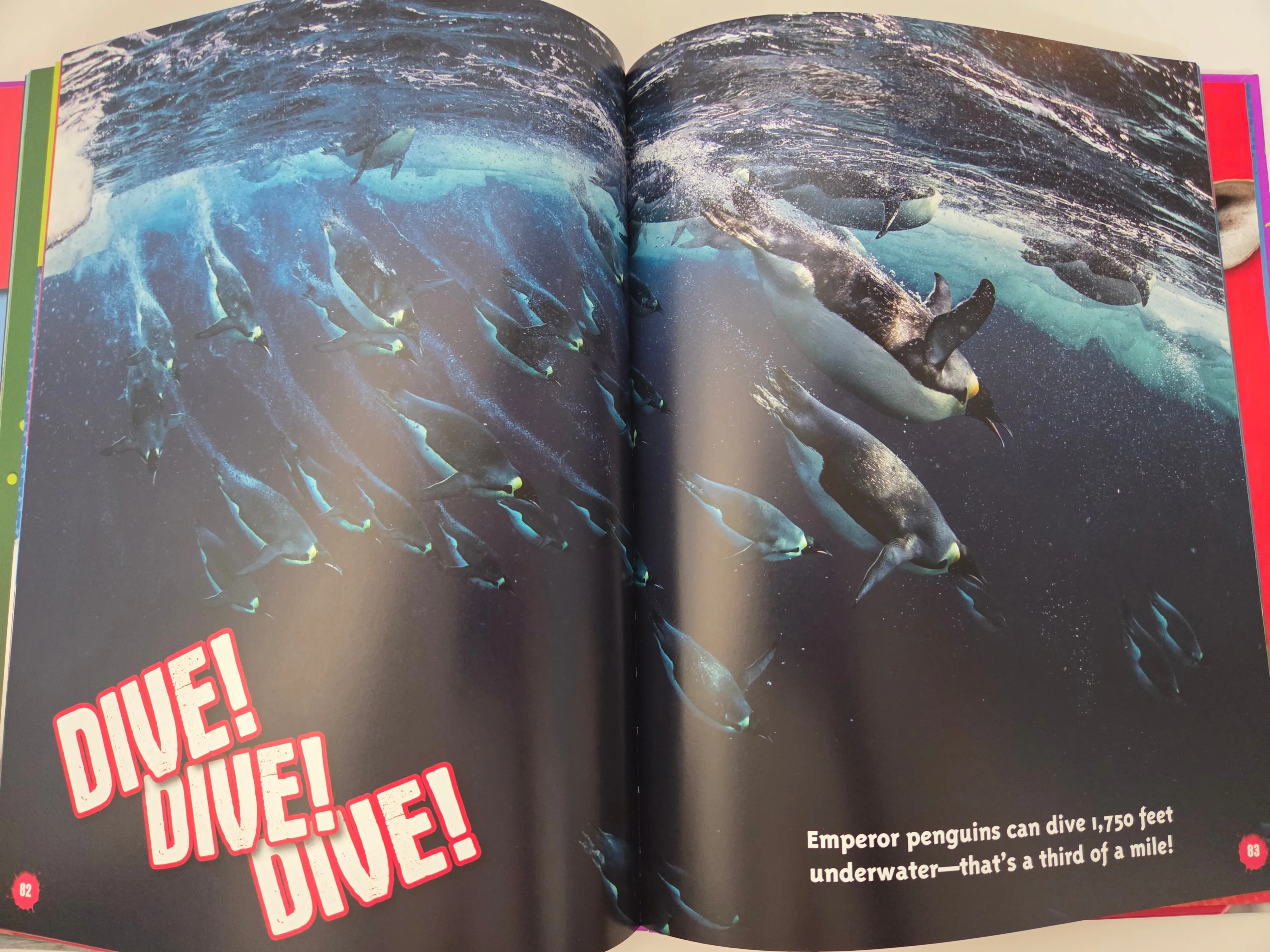 Ripley’s Kids Fun Facts The Big One, Hardcover image indicator(4)