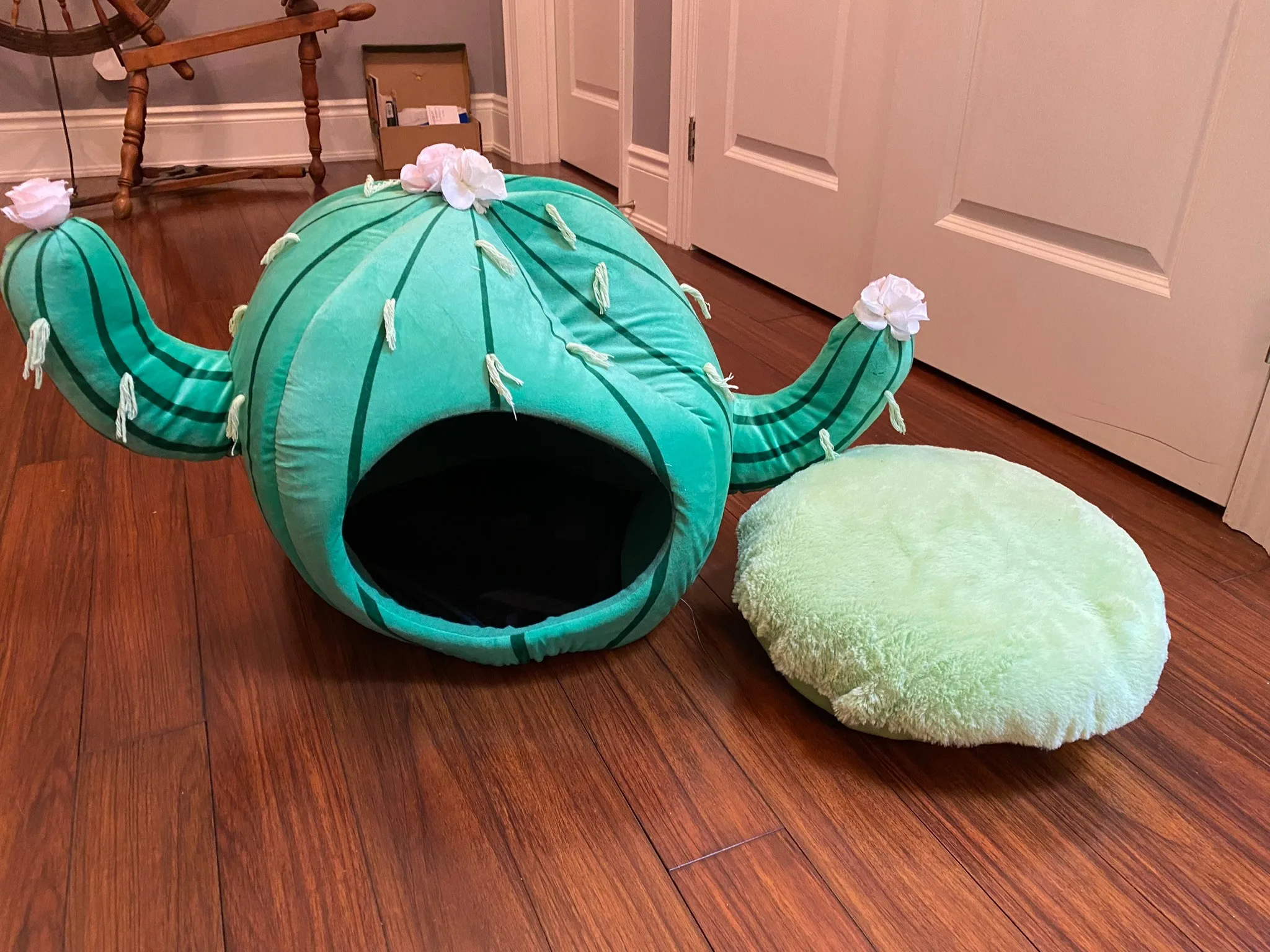Cactus Cat Bed / Cat House / Cat Tent
