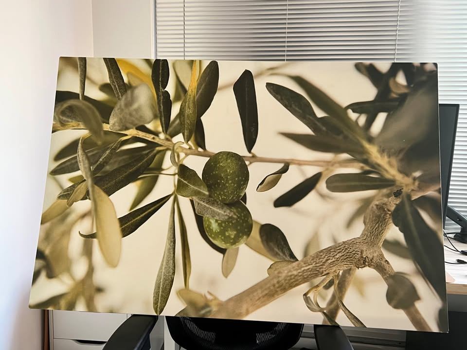 IKEA Large Canvas Print – Olive Tree - photo 2