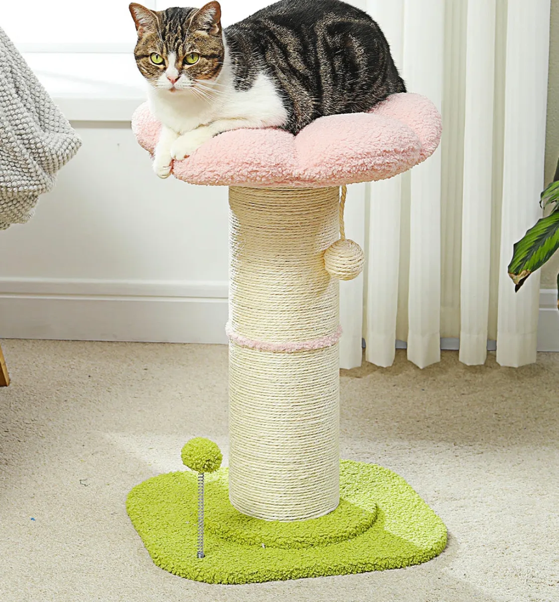 New Flower Cat Tree and Scratching Post