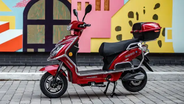 Emmo Hornet X.I / The Best Delivery Ebike Saves $400