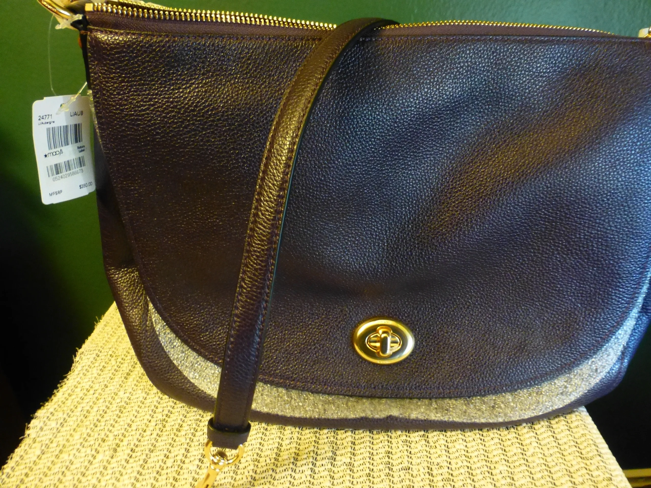 .  Pebbled Turnlock Hobo Women's Handbag image indicator(8)