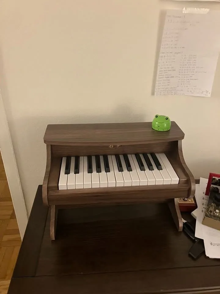 Zippy digital toy piano/kids piano
