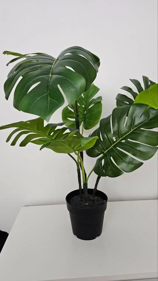 IKEA Fake Plant image indicator(2)