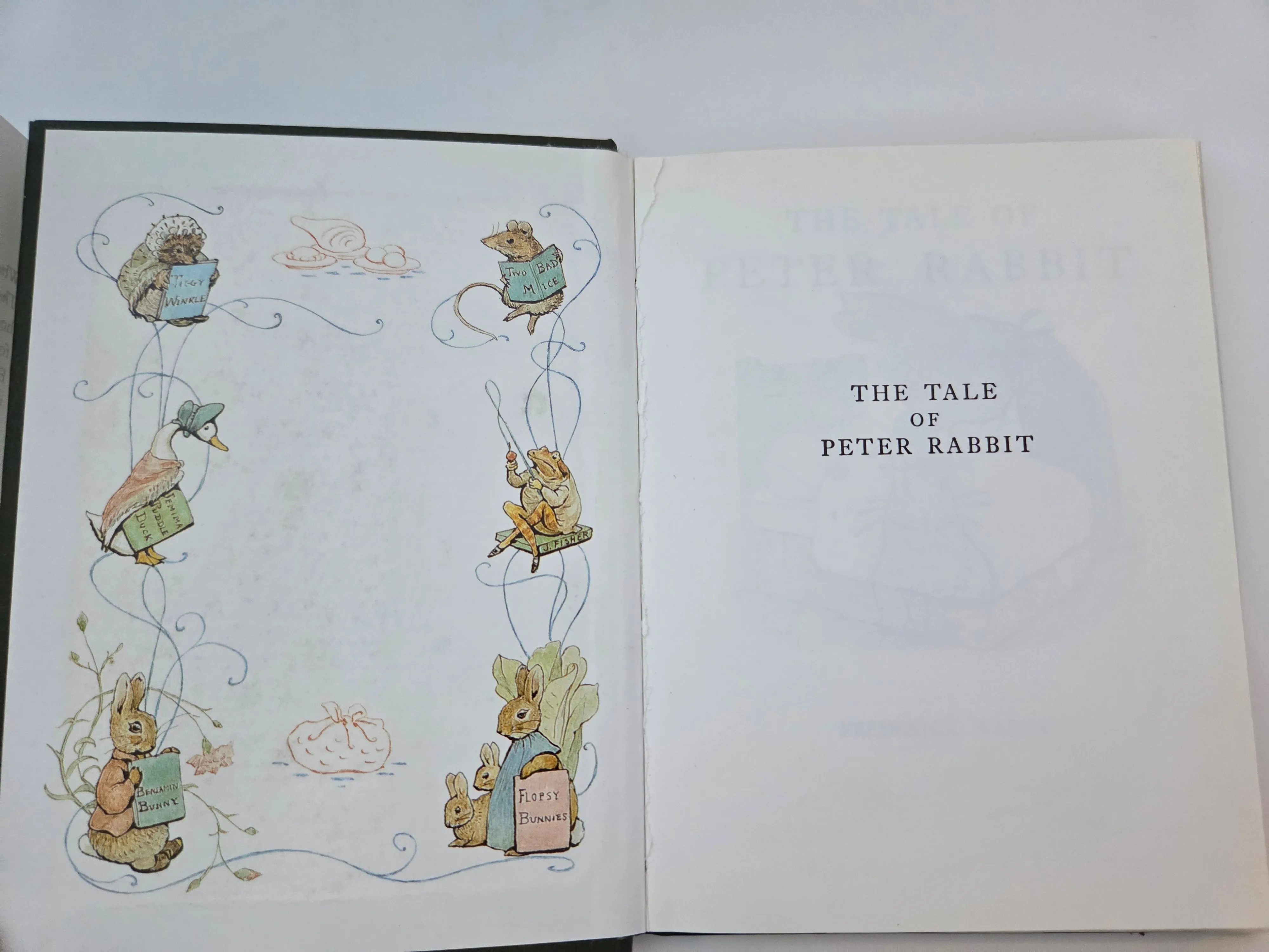 Peter Rabbit by Beatrix Potter, 1989 HC w/ DJ image indicator(3)
