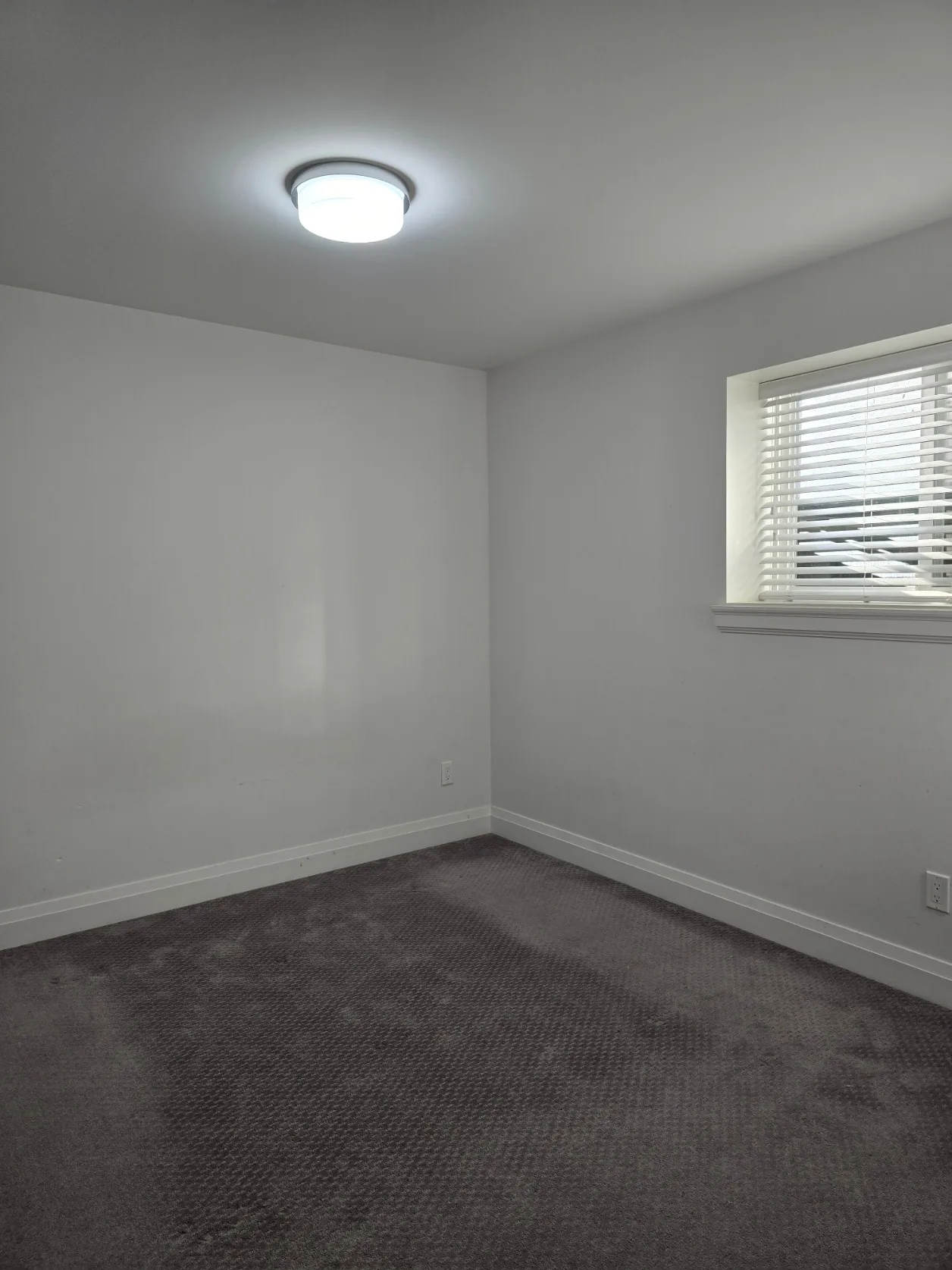 2 BR /1 B suite in Cloverdale near 168 St / Hwy 10 image indicator(5)