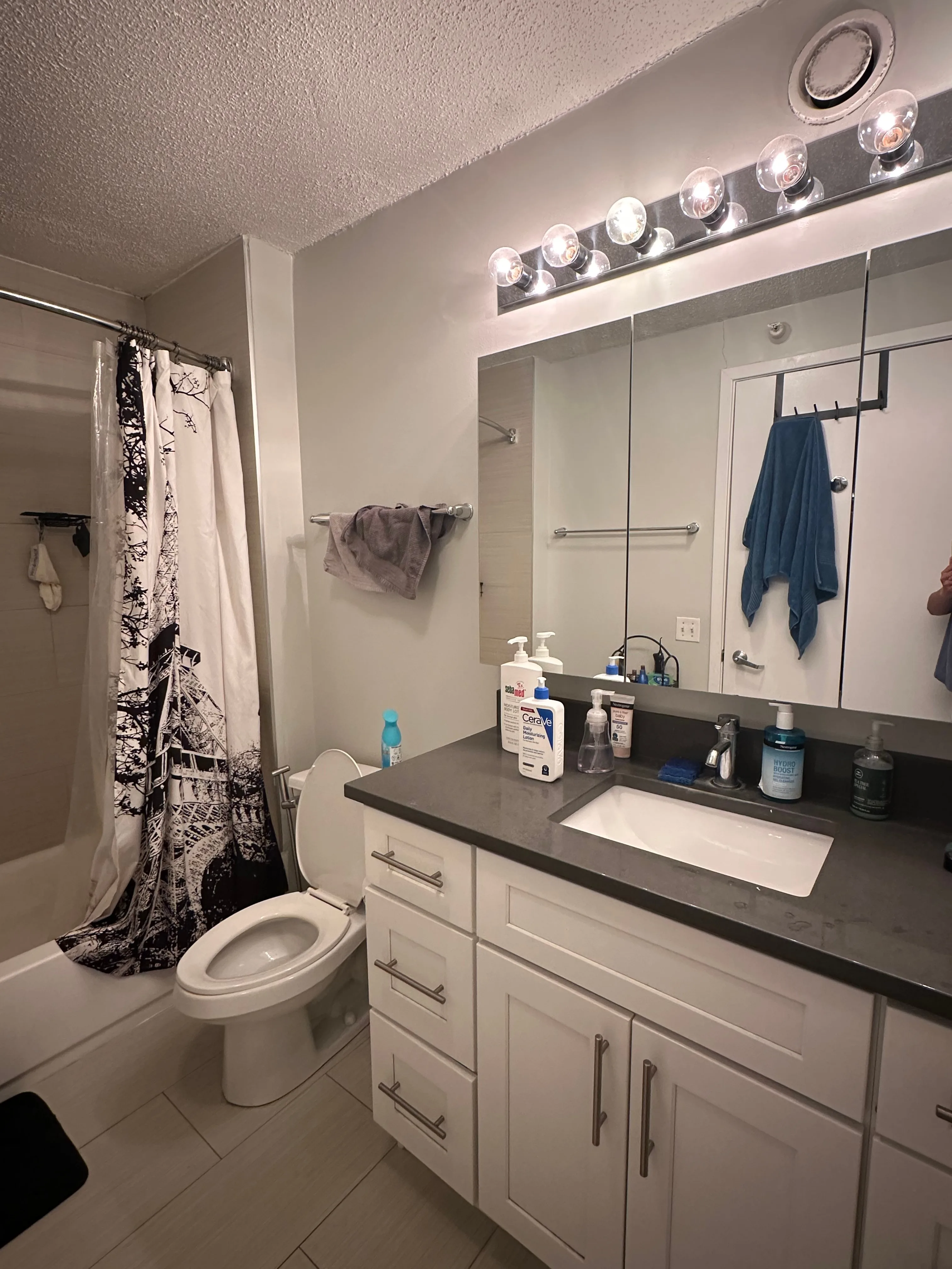Sublease 1 Bed 1 Bath - Apartment image indicator(10)