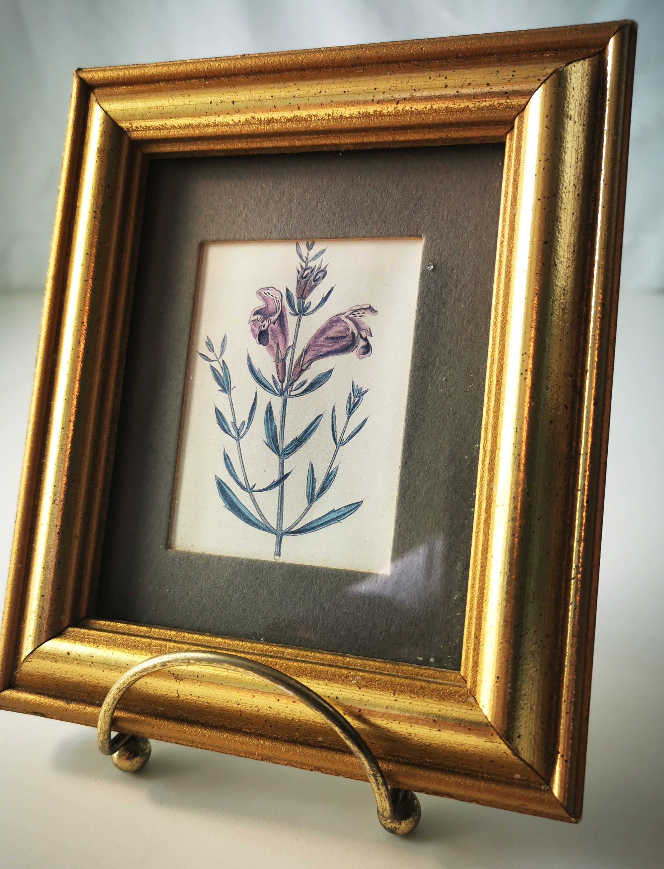 Columbia Frame with Handcrafted Glass and Lithograph Elegant