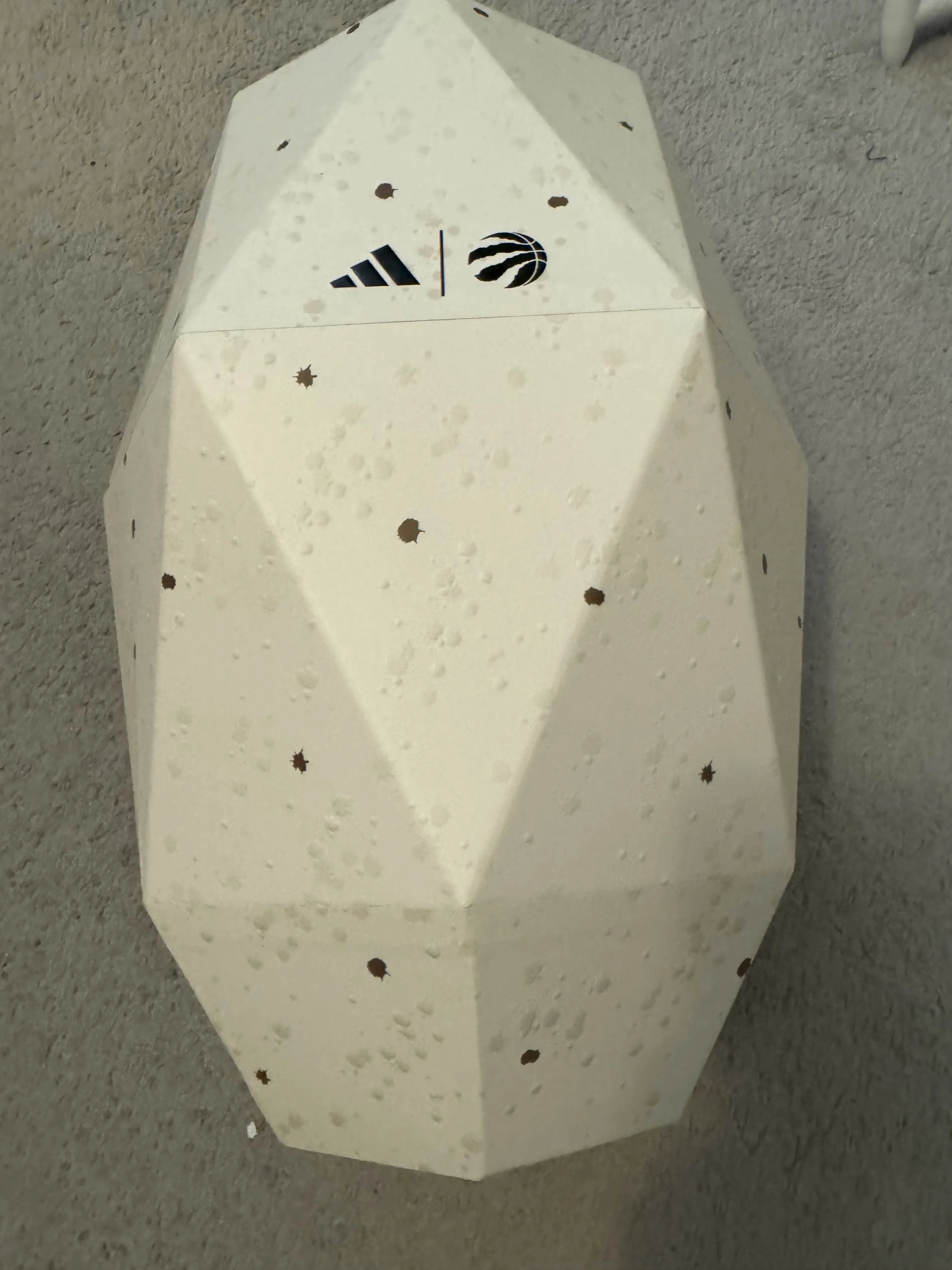 Adidas UltraBoost 5X Raptors Limited Edition (Brand New) image indicator(8)