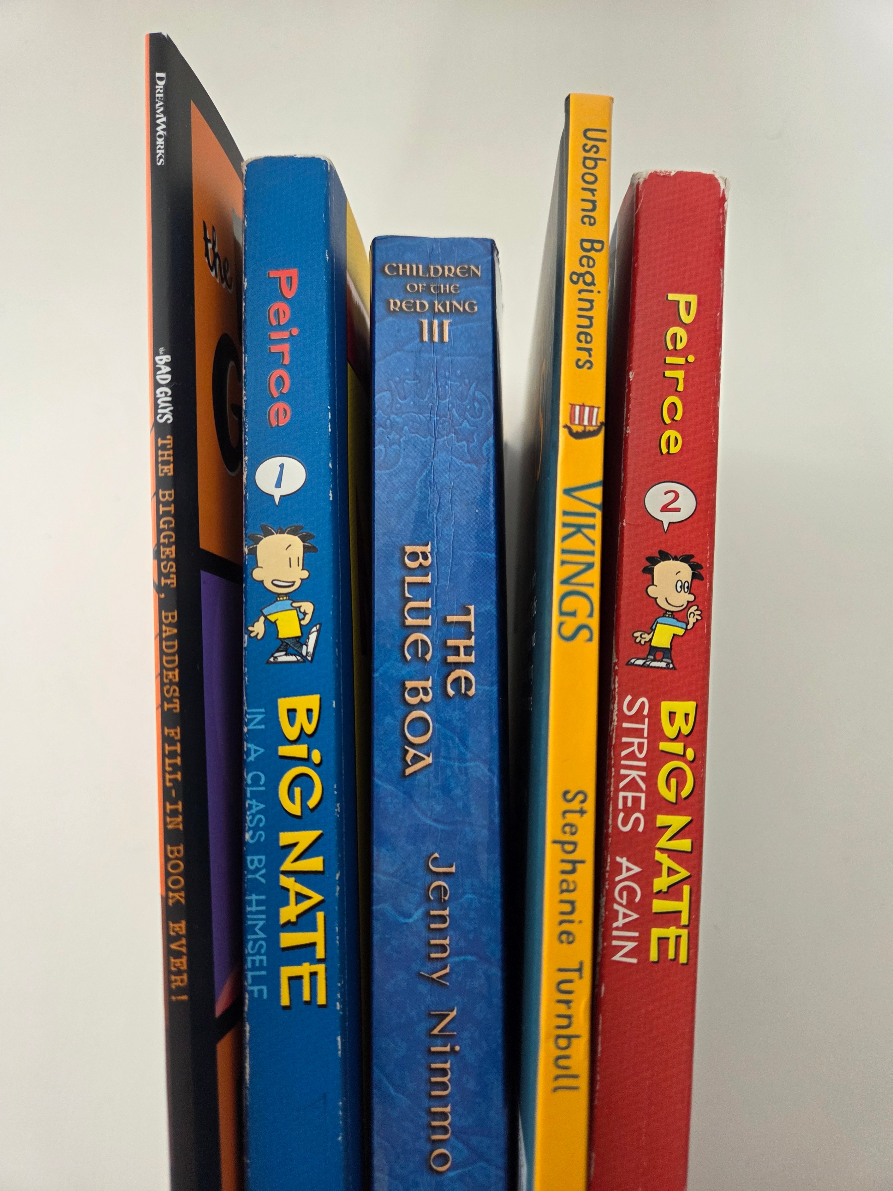 Kids Book Bundle: Big Nate, Blue Boa, Vikings (5) - photo 3