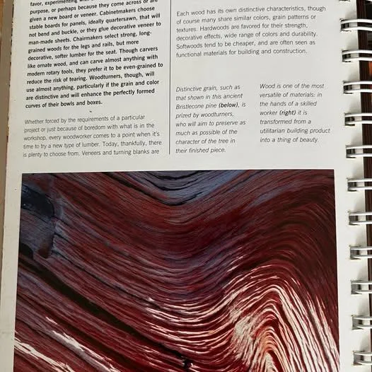 "The Real Wood Bible" Nick Gibbs image indicator(4)