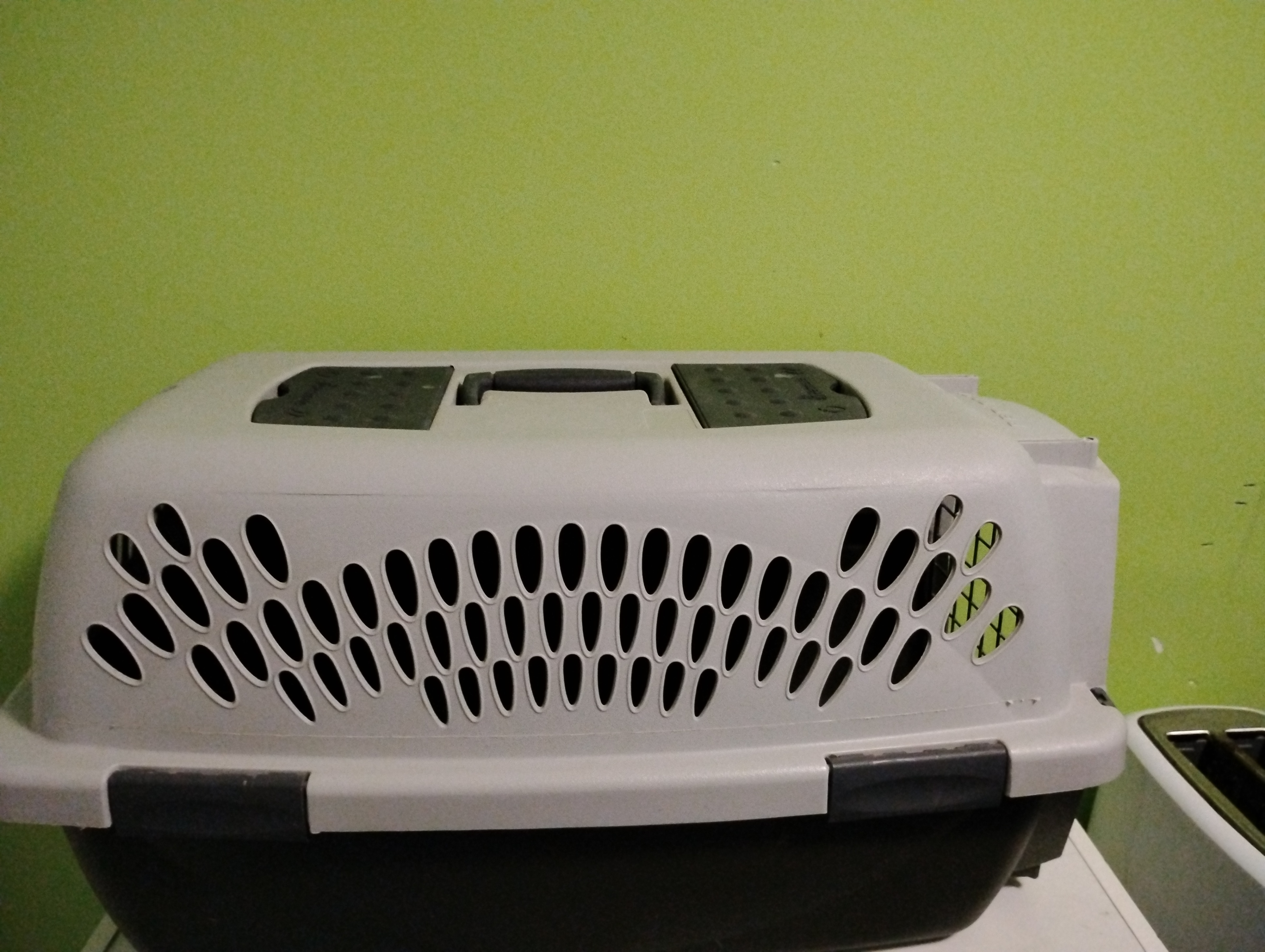 Pet Taxi Animal Carrier – 20", New Condition