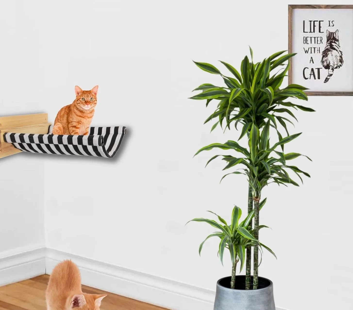 Wall Mounted Cat Hammock - Cat Wall Hammock for Kittens