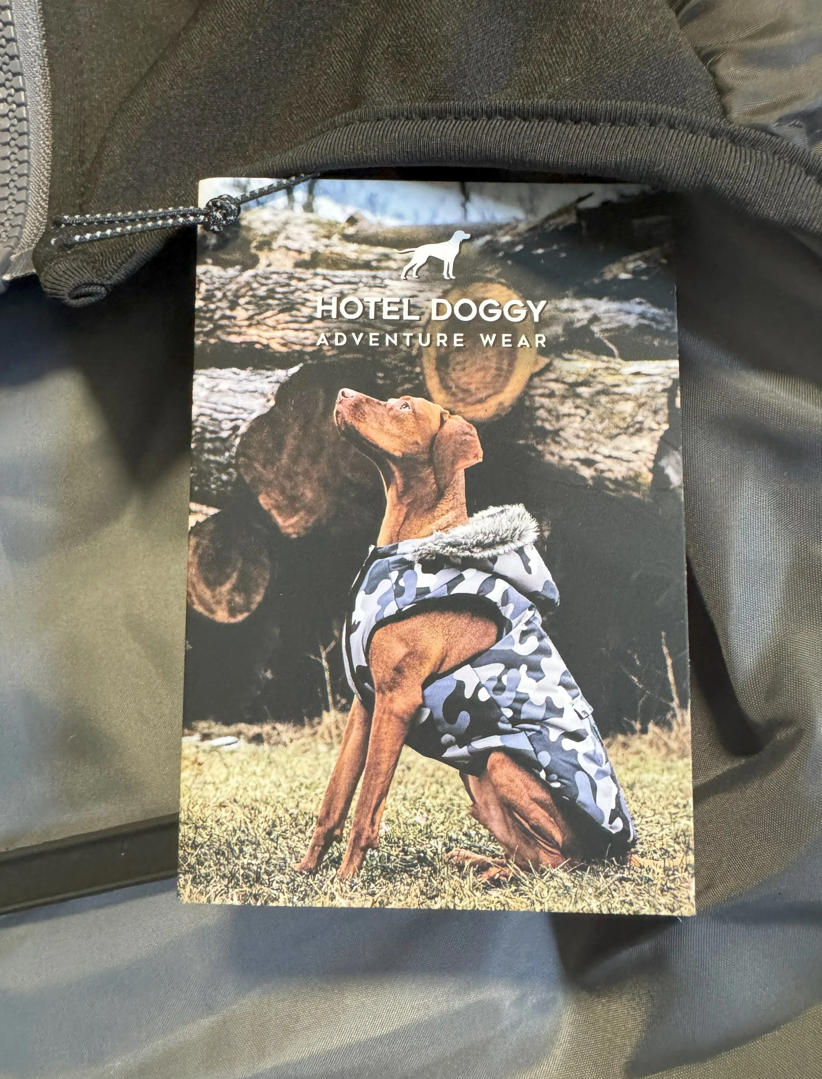 Warm and Cozy Dog Winter Jacket-Keep Your Pup Comfortable(Black) image indicator(4)